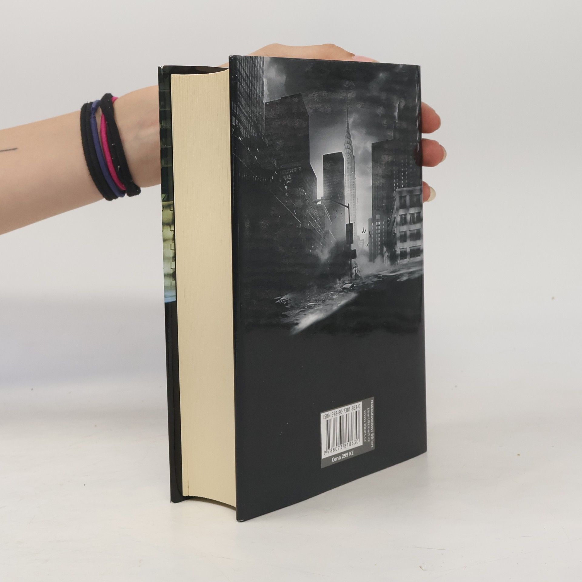 Stephen Baxter Potopa