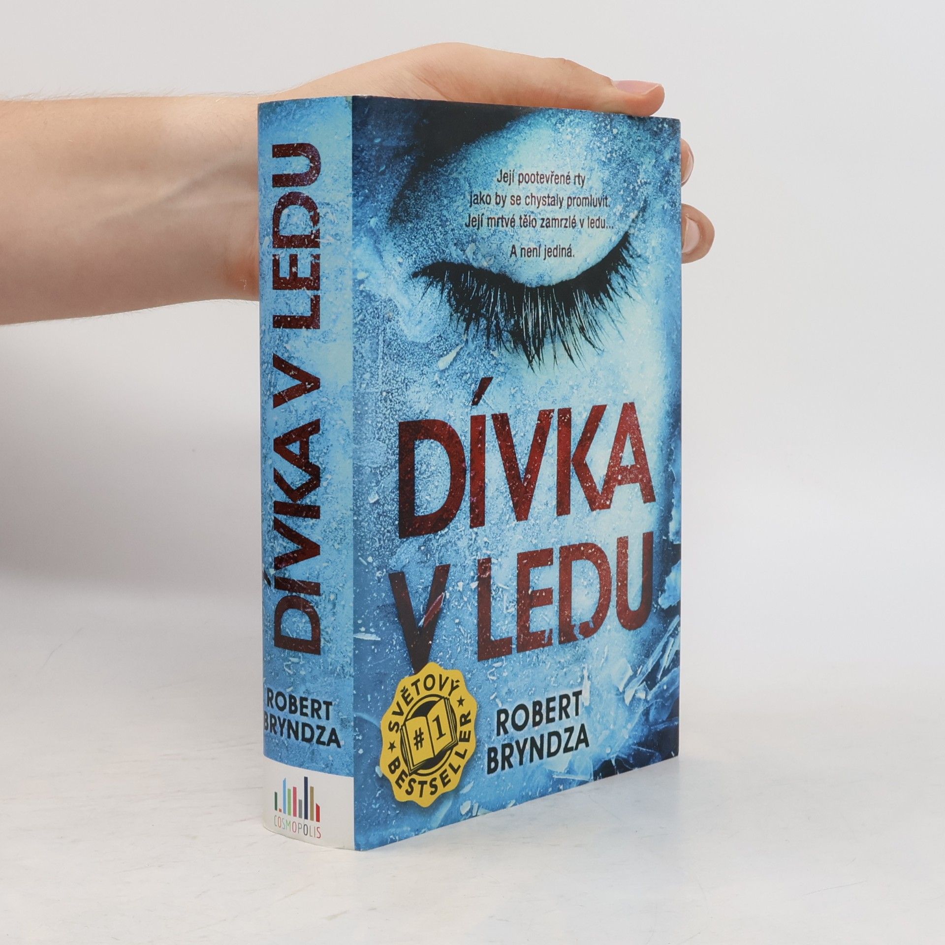 Robert Bryndza Dívka v ledu
