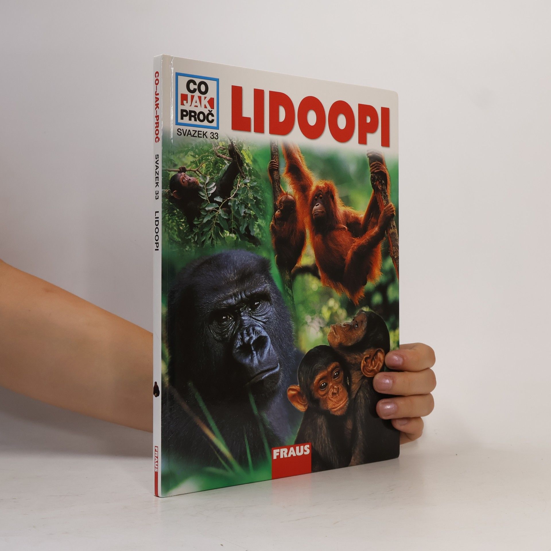 Autorenkollektiv Lidoopi
