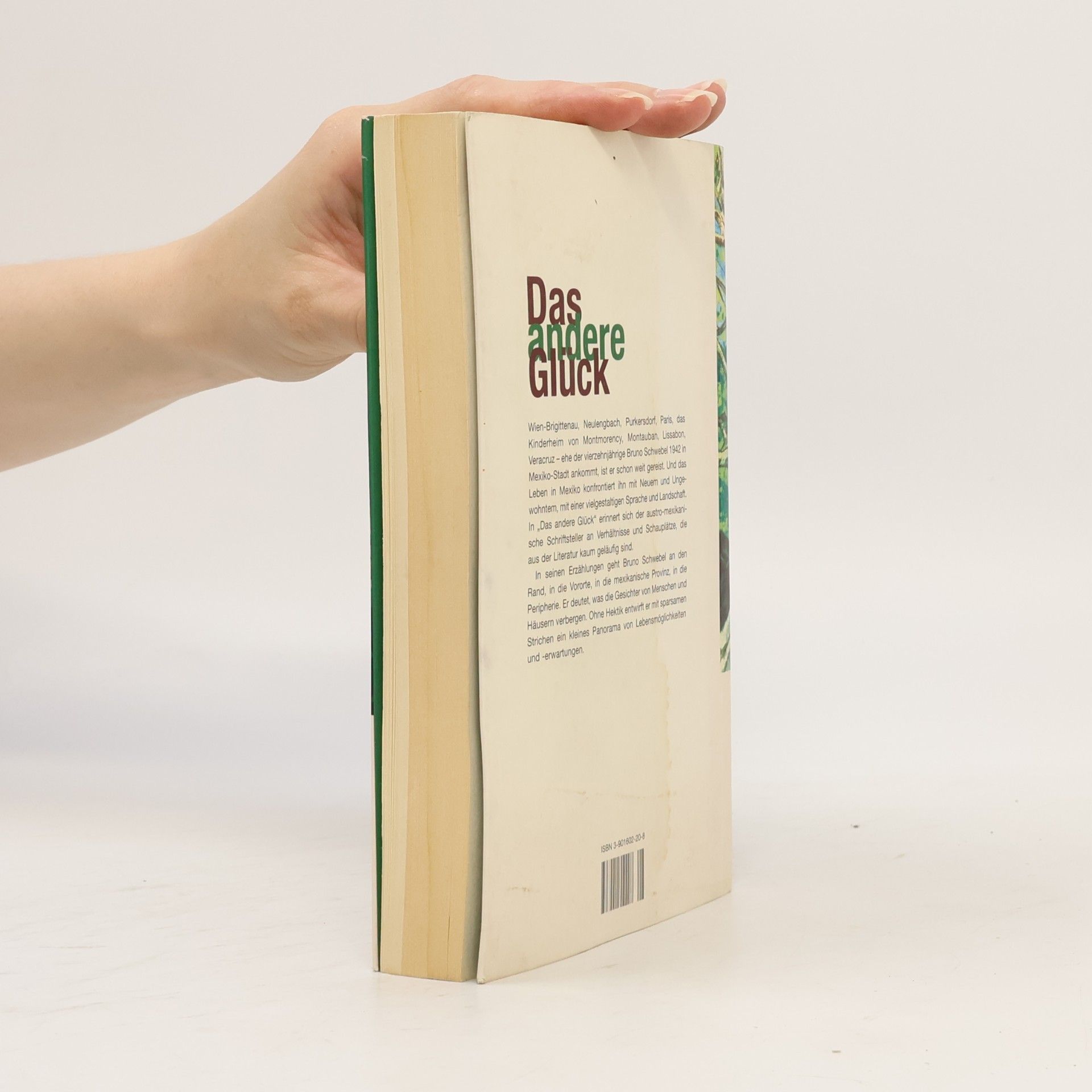 Bruno Schwebel Das andere Glück