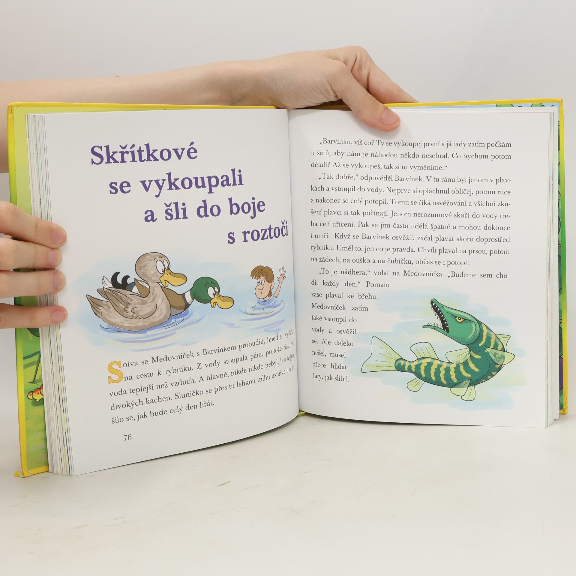 Jan Lebeda Pohádky skřítků Medovníčka a Barvínka