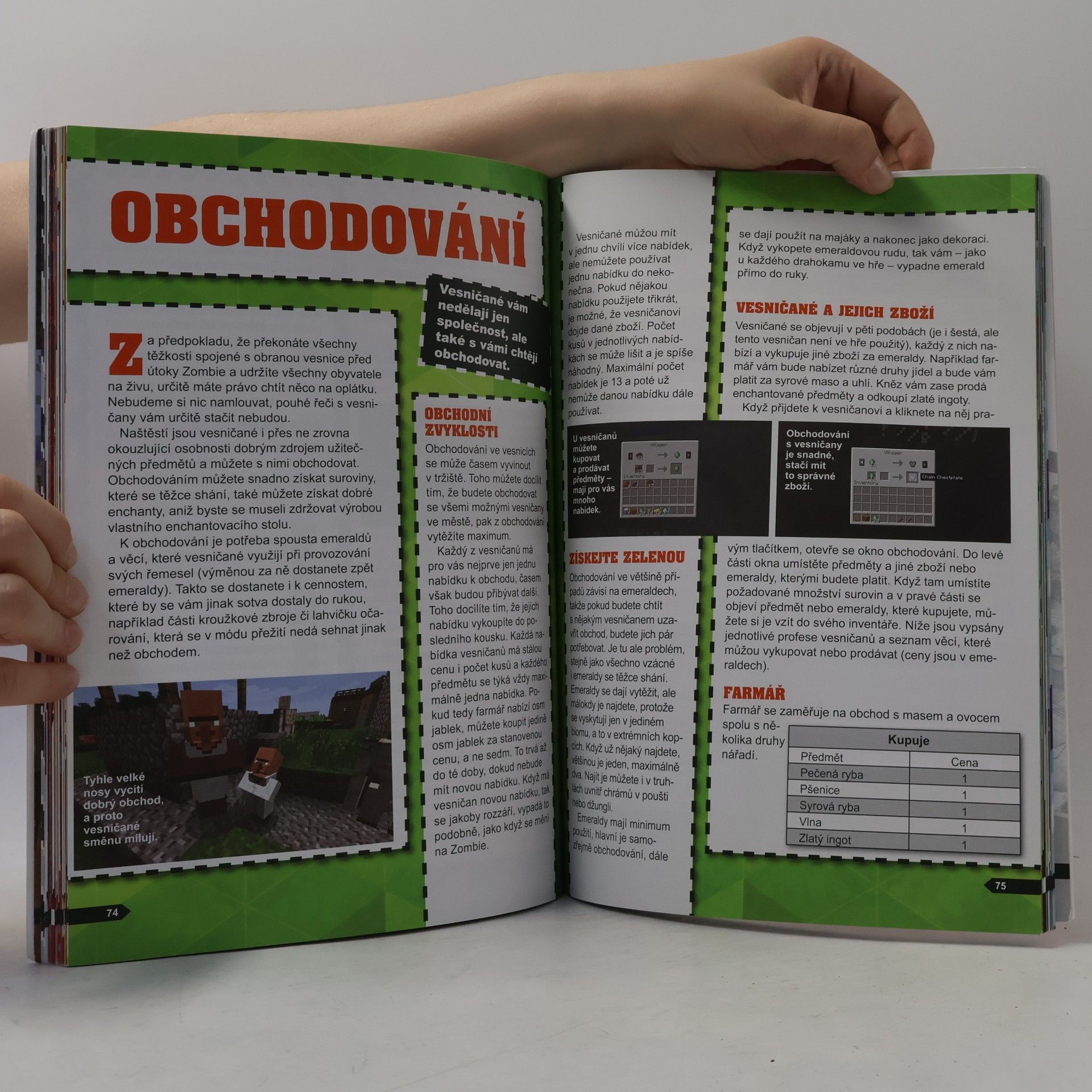 Jakub Kříž Minecraft: Staň se mistrem!
