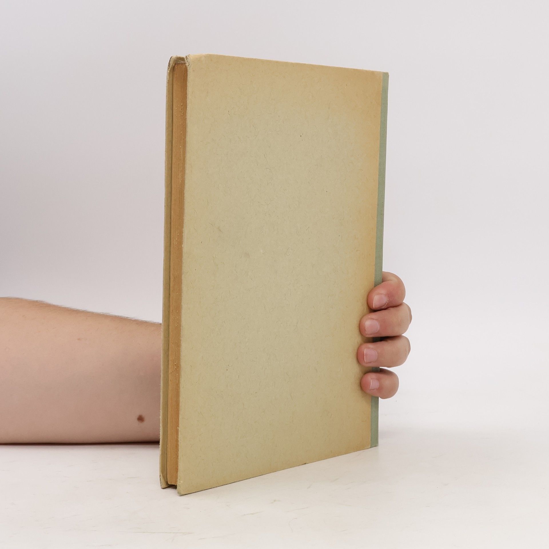 Siegfried Flamm Rezeptbuch der Pflanzenheilkunde
