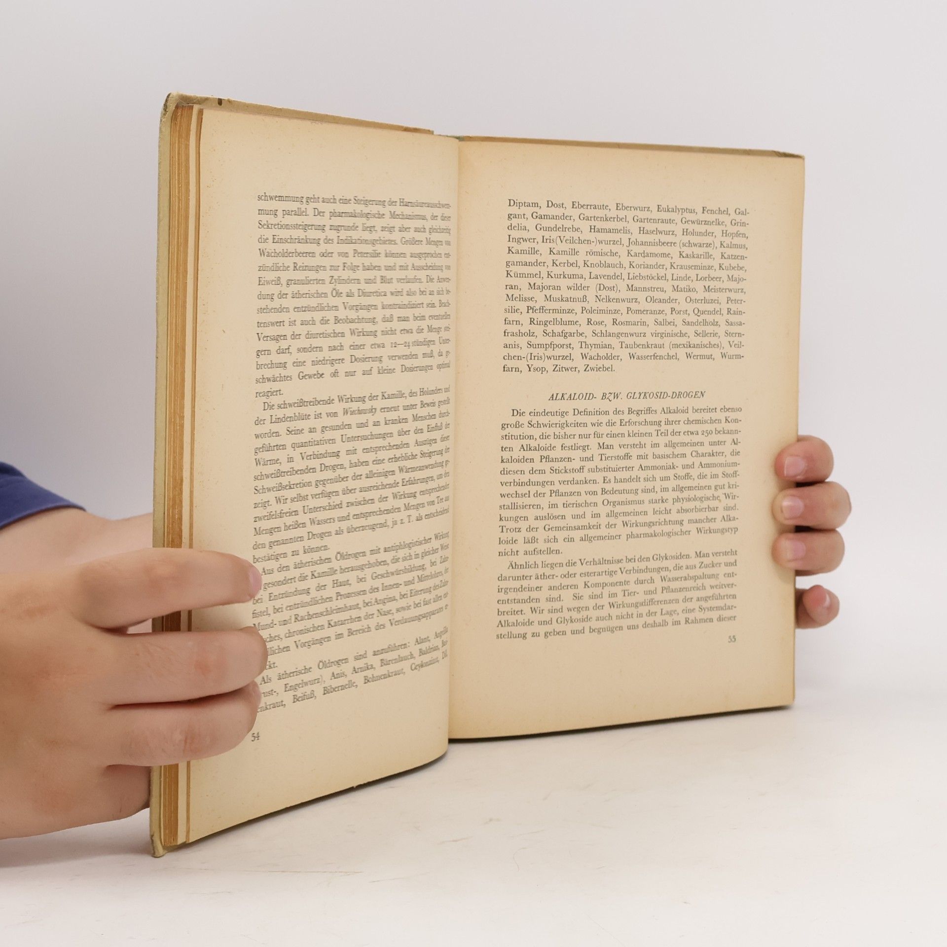 Siegfried Flamm Rezeptbuch der Pflanzenheilkunde