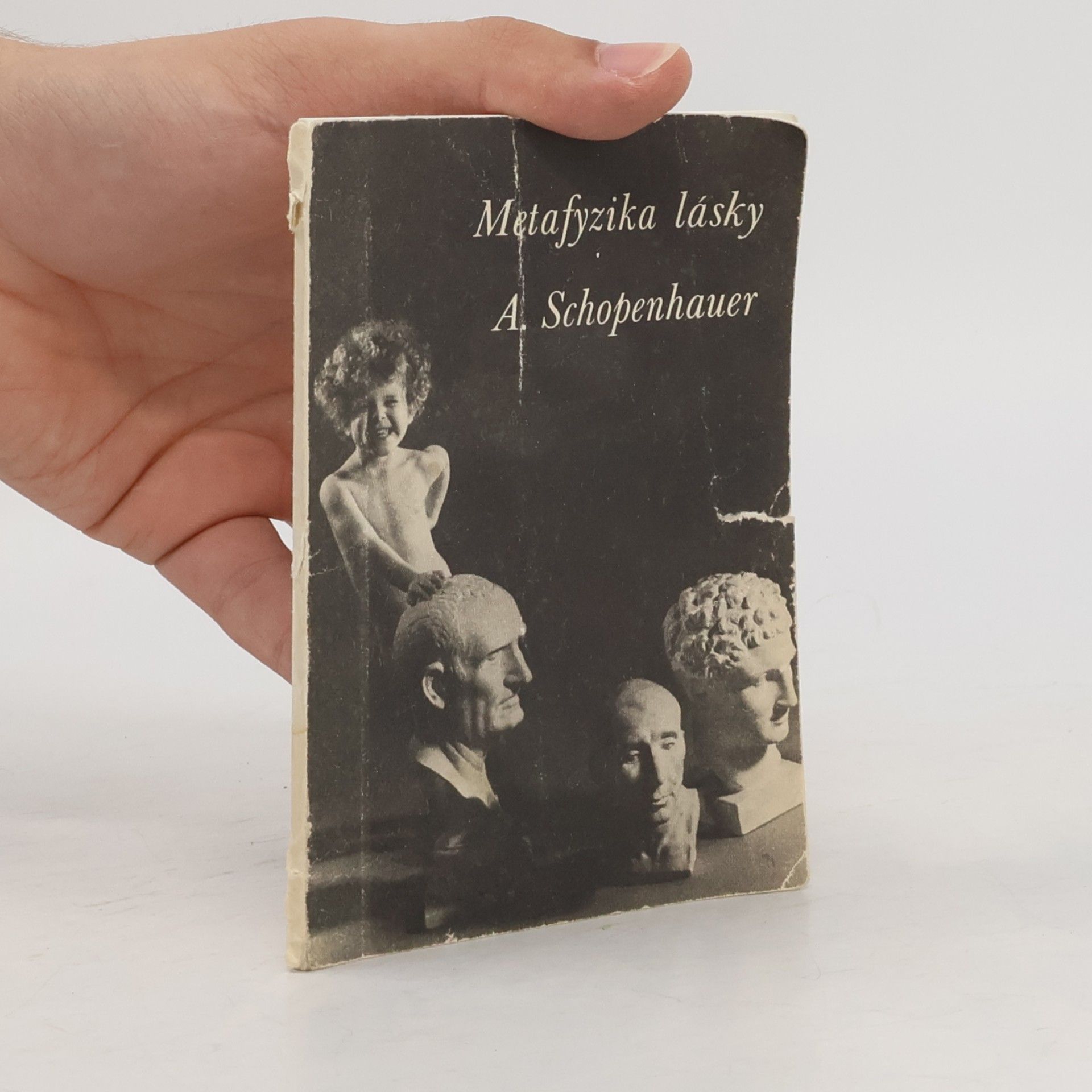 Arthur Schopenhauer Metafyzika lásky