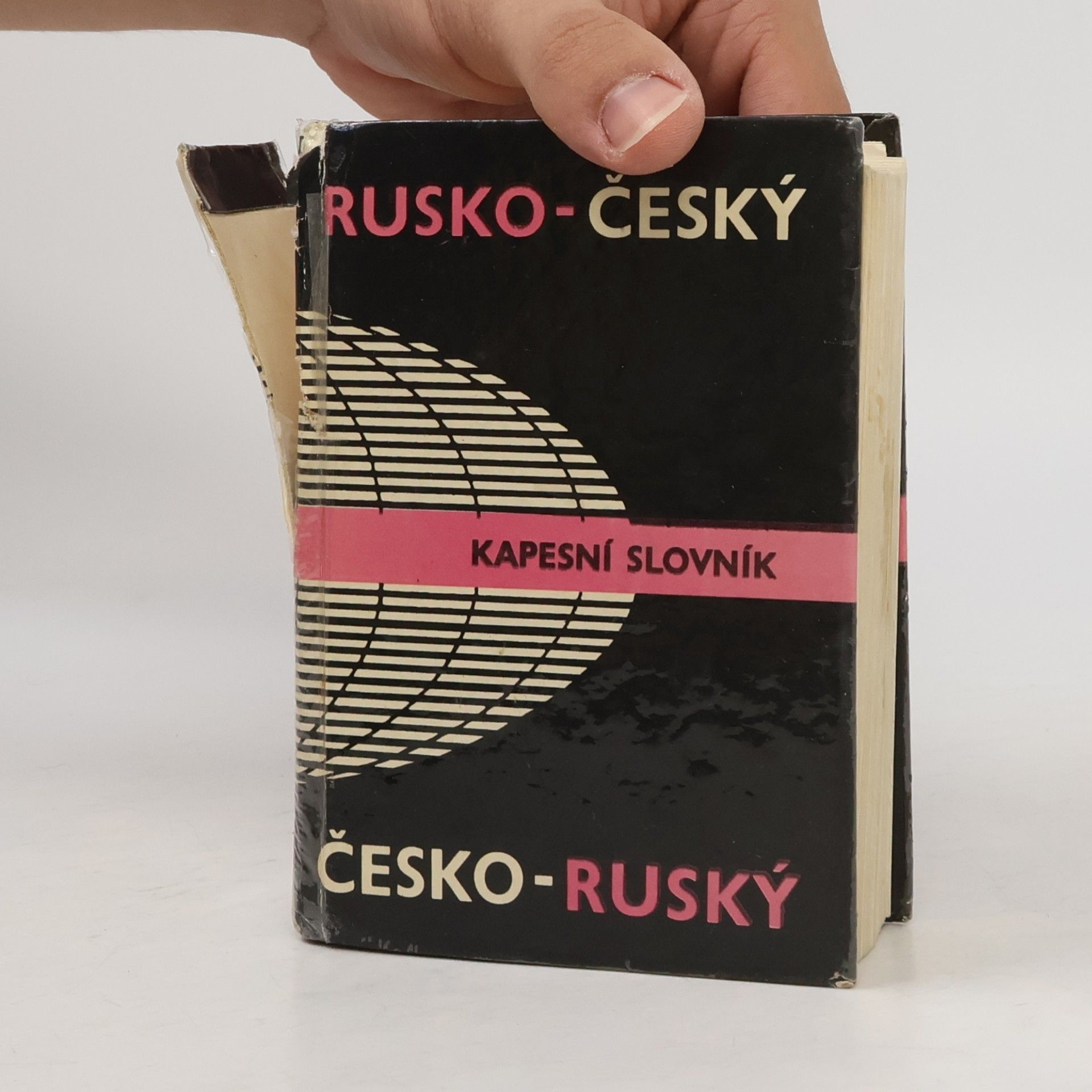 Jelizaveta Dvořáková Rusko-český a česko-ruský kapesní slovník