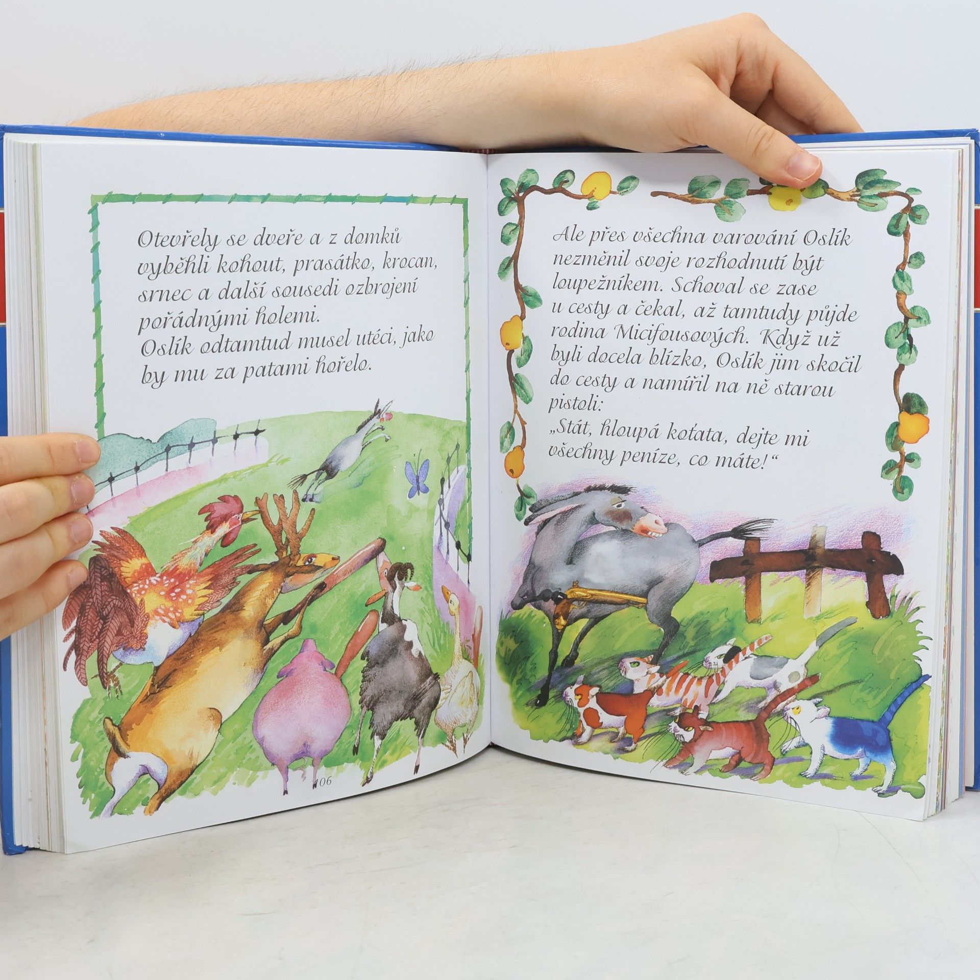Collectif d'auteurs Babiččiny pohádky