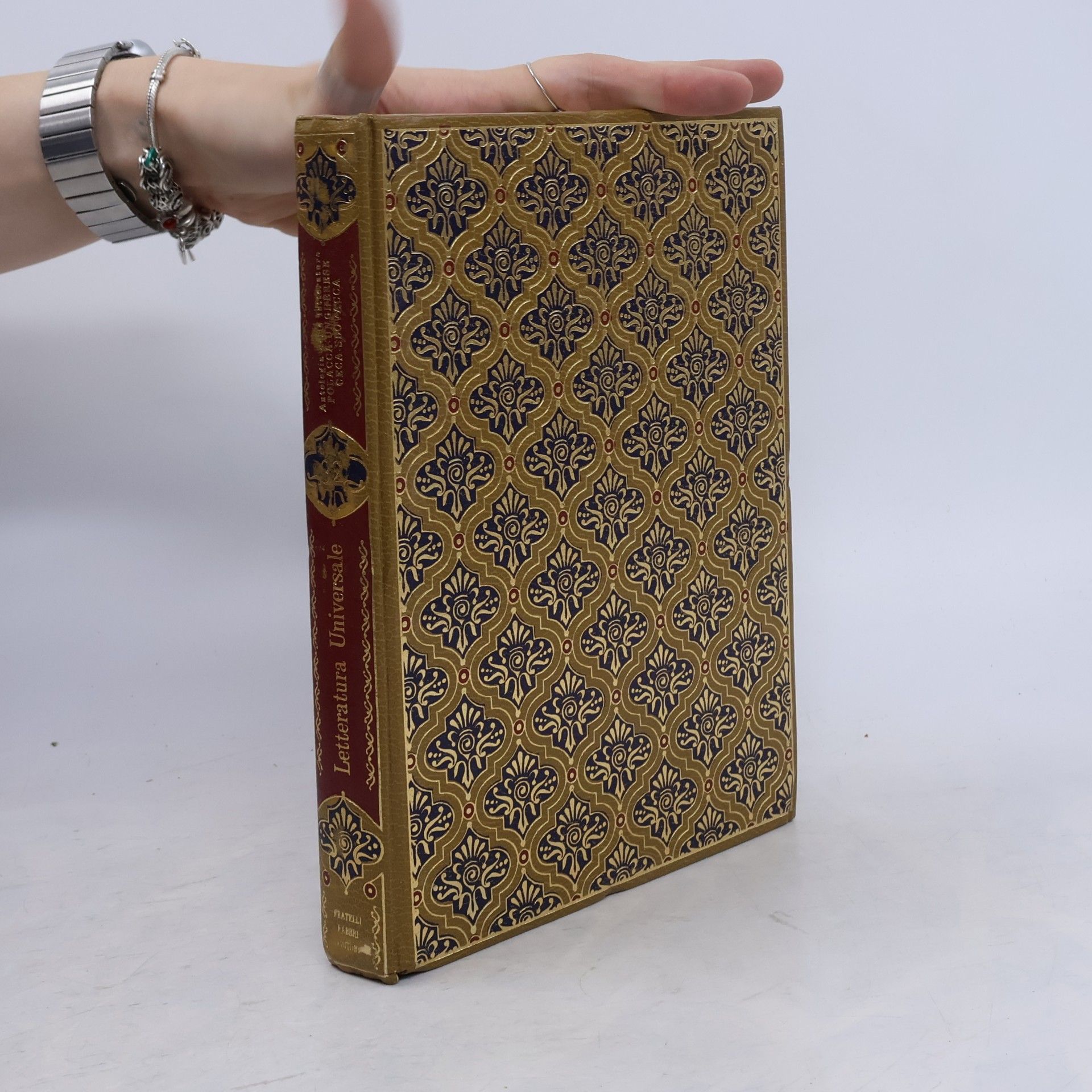 Autorenkollektiv Antologia delle letterature polacca-ungherese ceca-slovacca