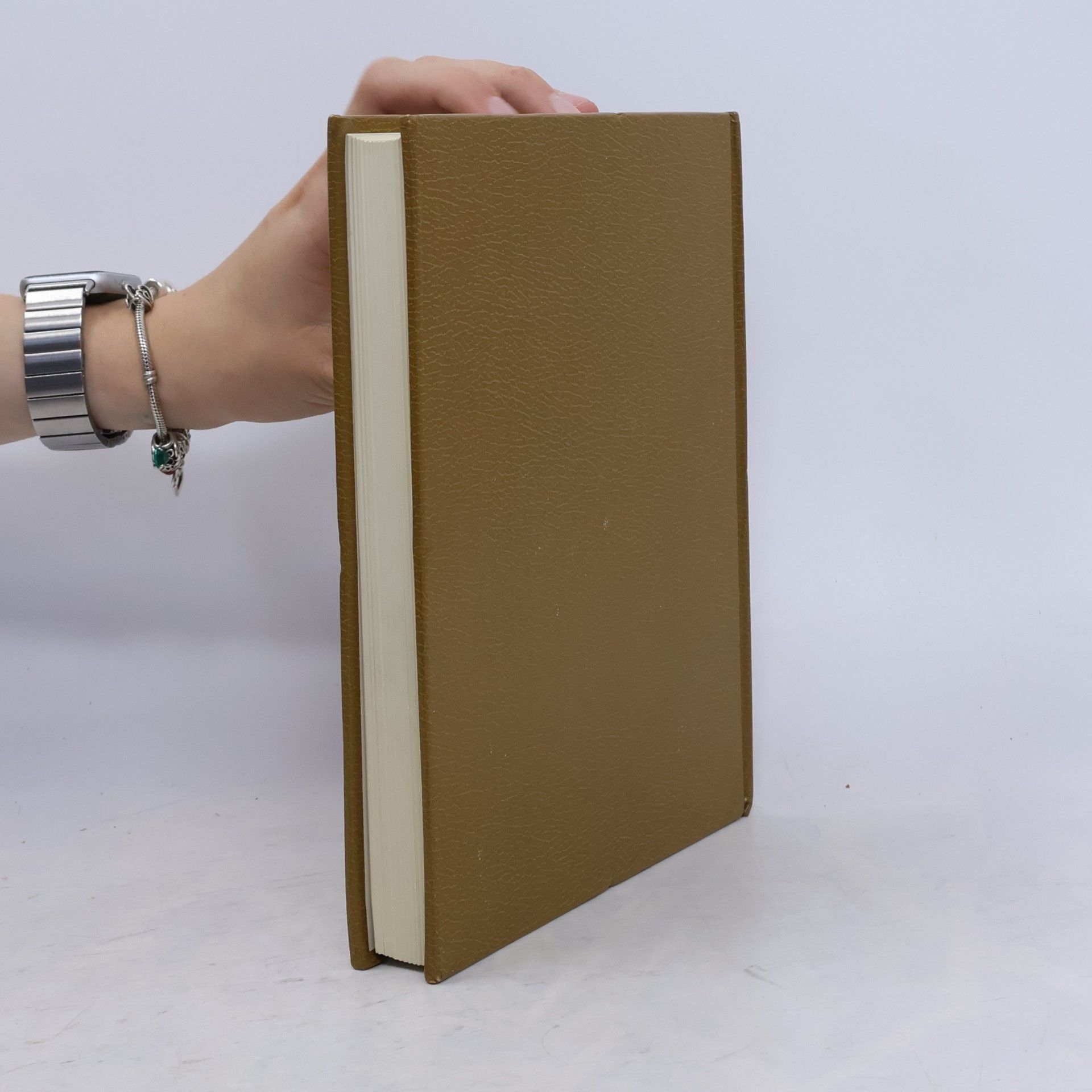 Autorenkollektiv Antologia delle letterature polacca-ungherese ceca-slovacca