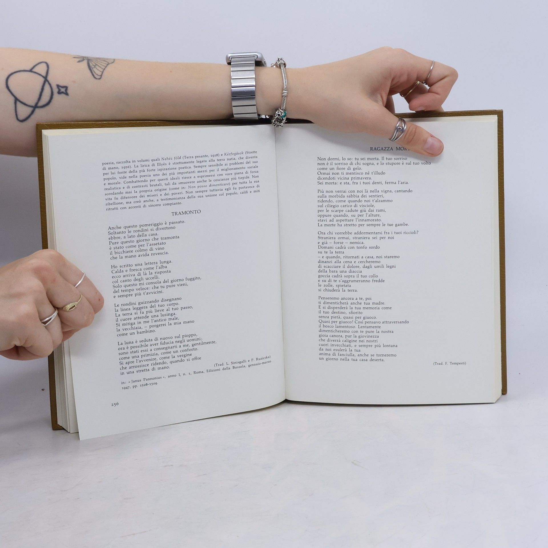 Autorenkollektiv Antologia delle letterature polacca-ungherese ceca-slovacca