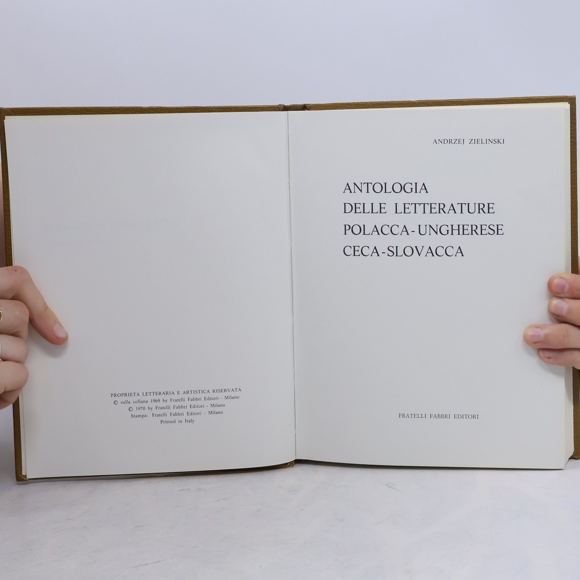 Autorenkollektiv Antologia delle letterature polacca-ungherese ceca-slovacca