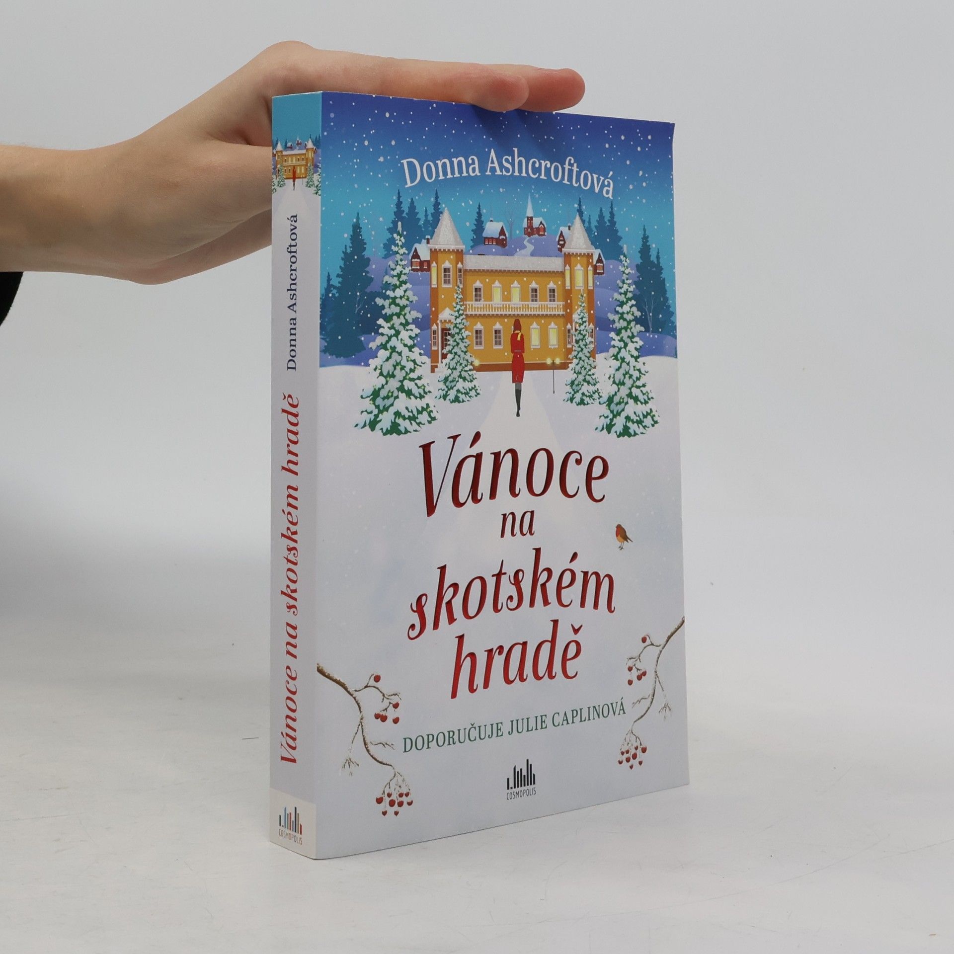 Donna Ashcroft Vánoce na skotském hradě