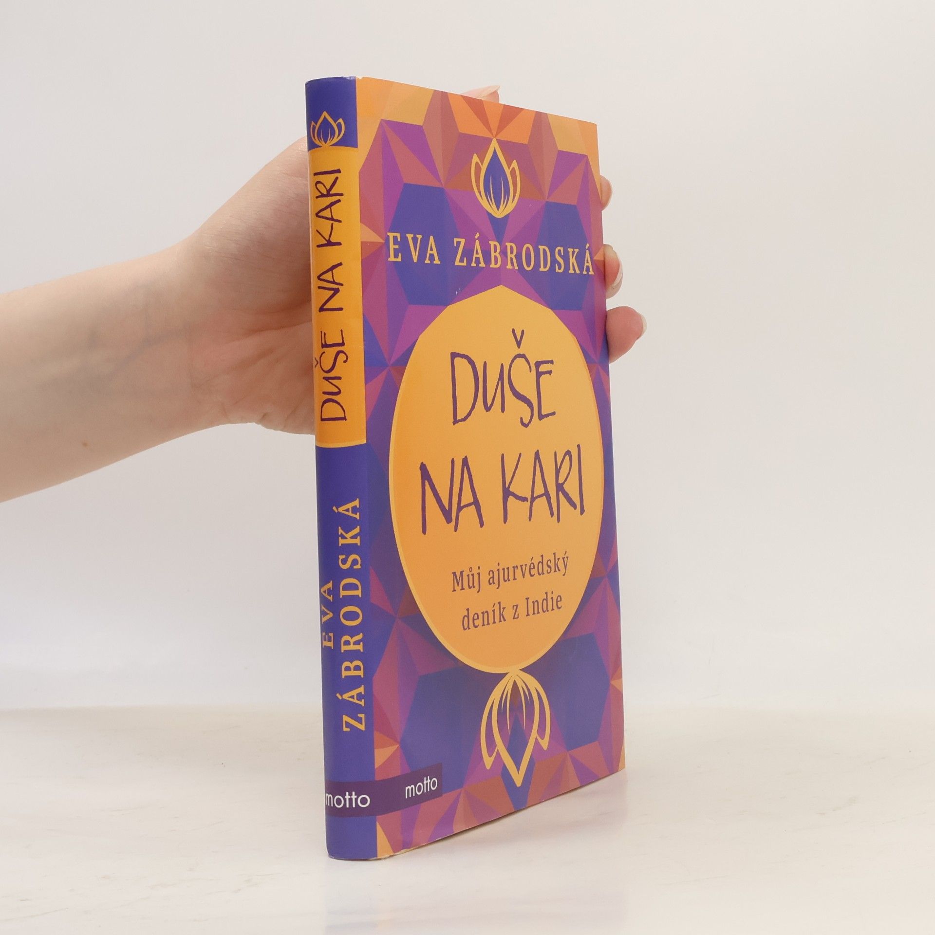 Eva Zábrodská Duše na kari: Můj ajurvédský deník z Indie