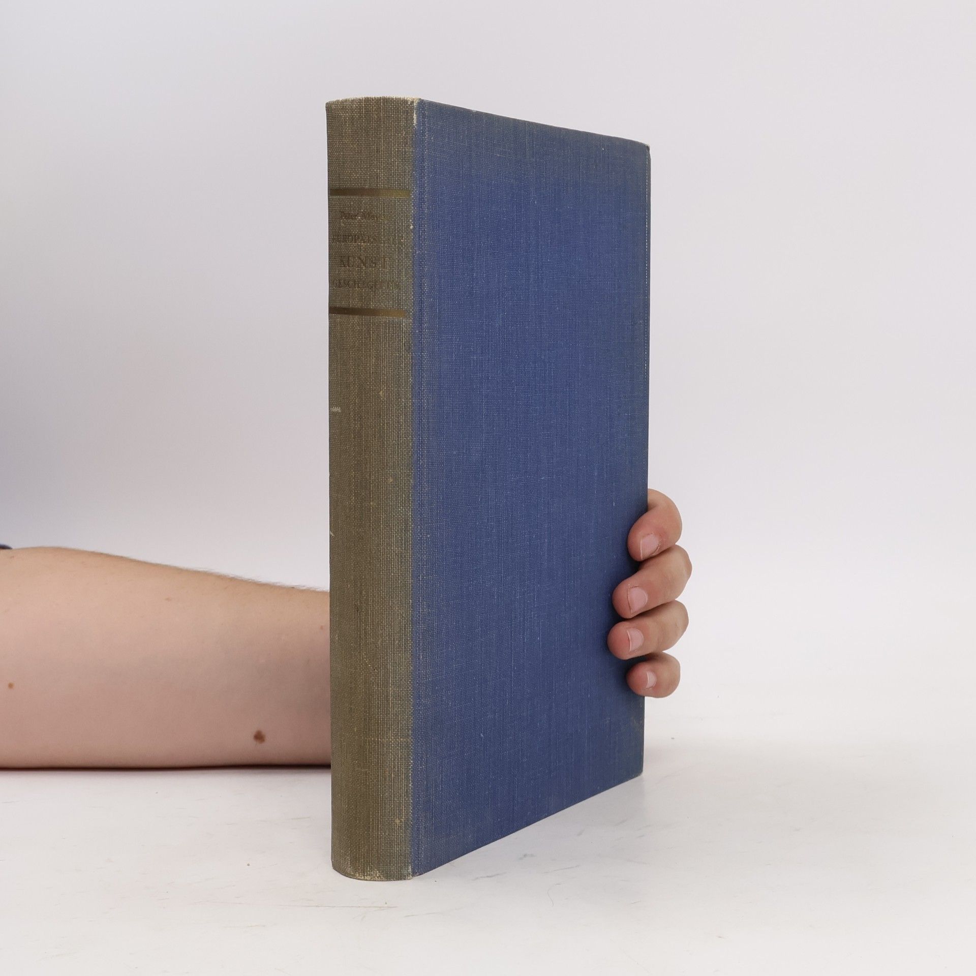 Peter Meyer Europäische Kunstgeschichte II