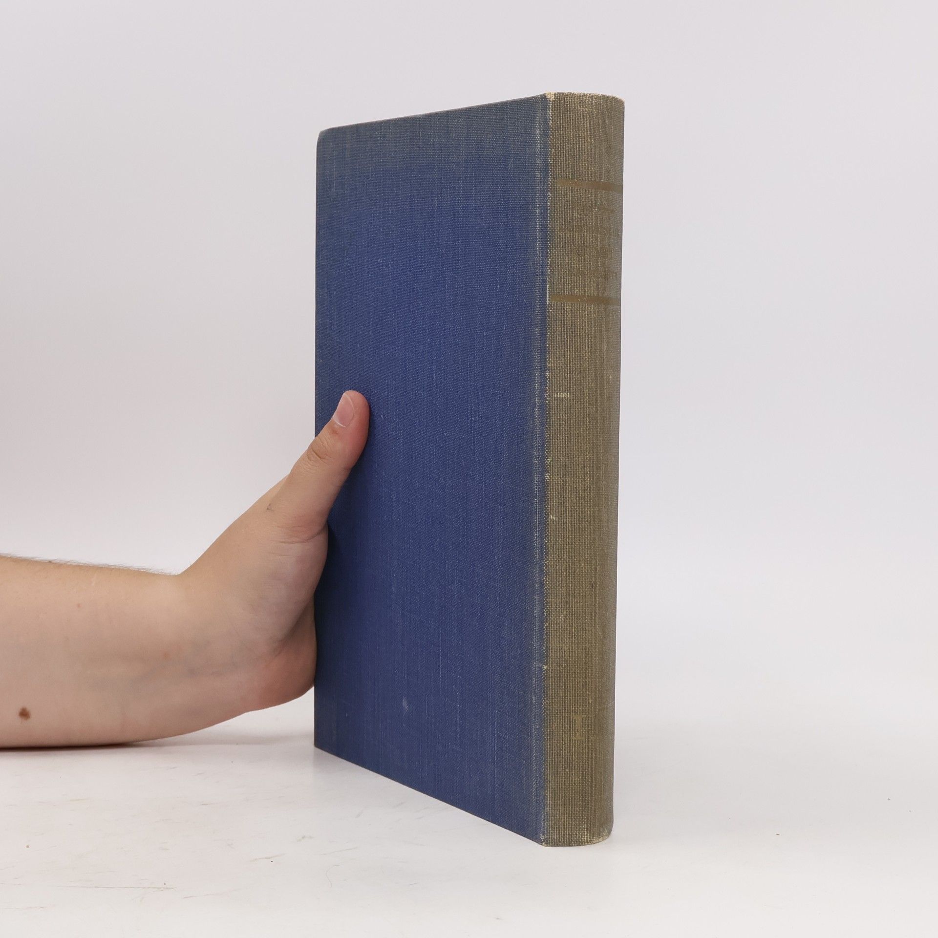 Peter Meyer Europäische Kunstgeschichte II