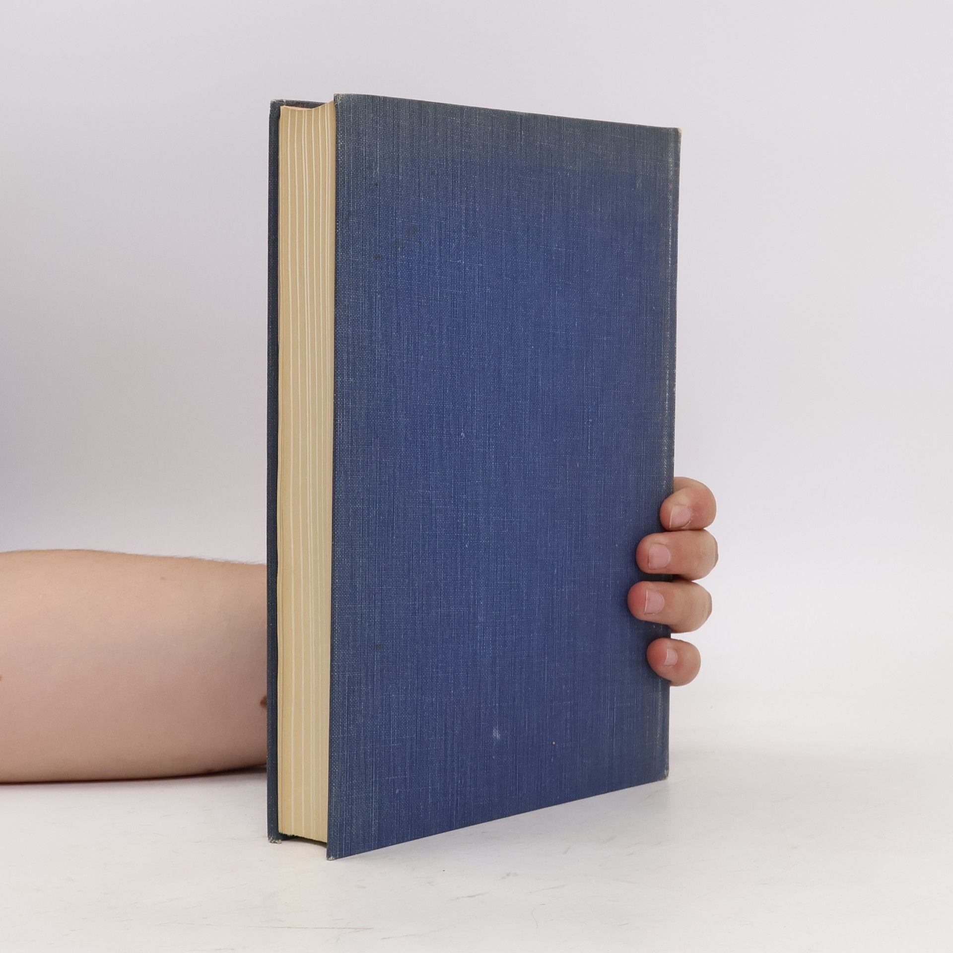 Peter Meyer Europäische Kunstgeschichte II