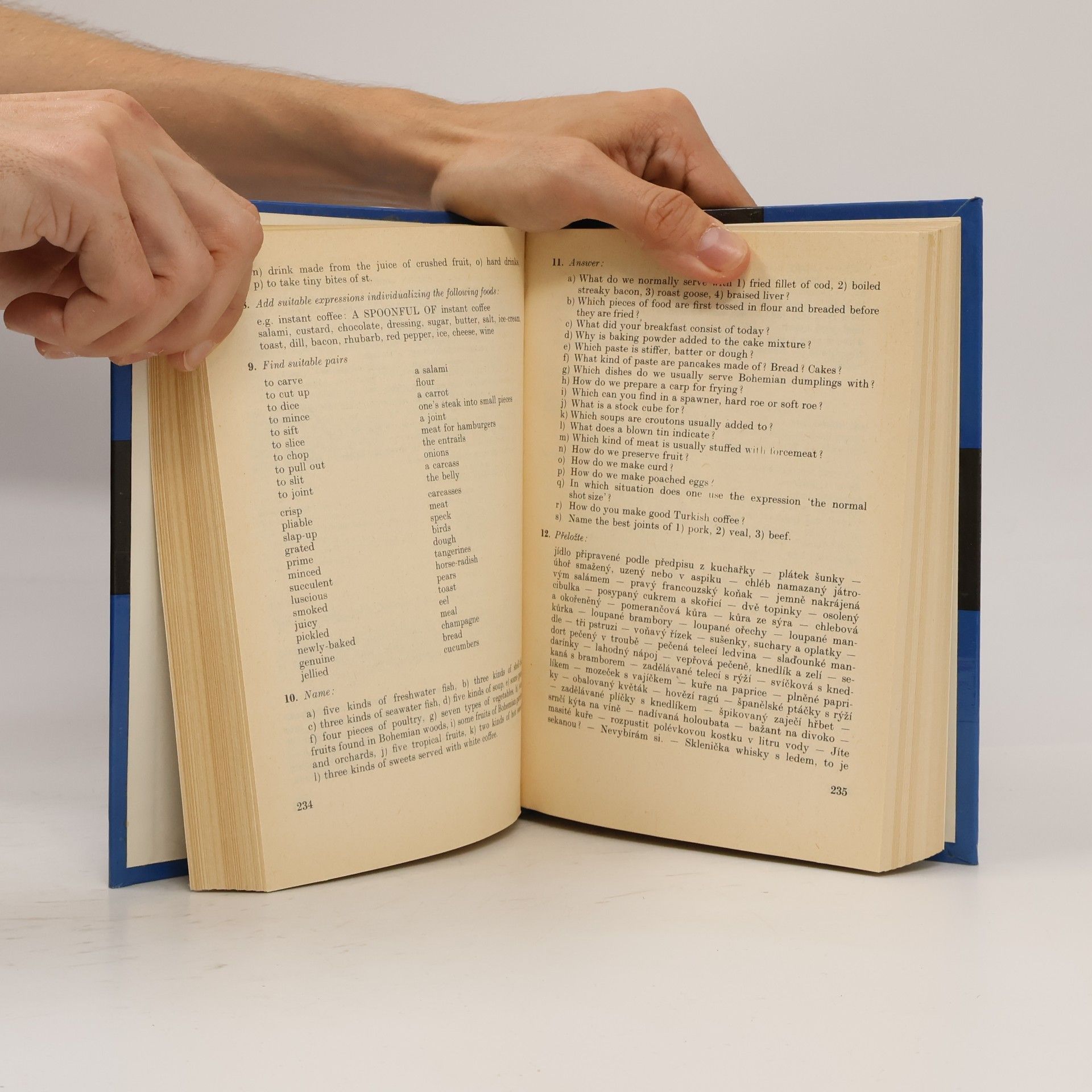 Sergej Tryml Handbook of English Conversation