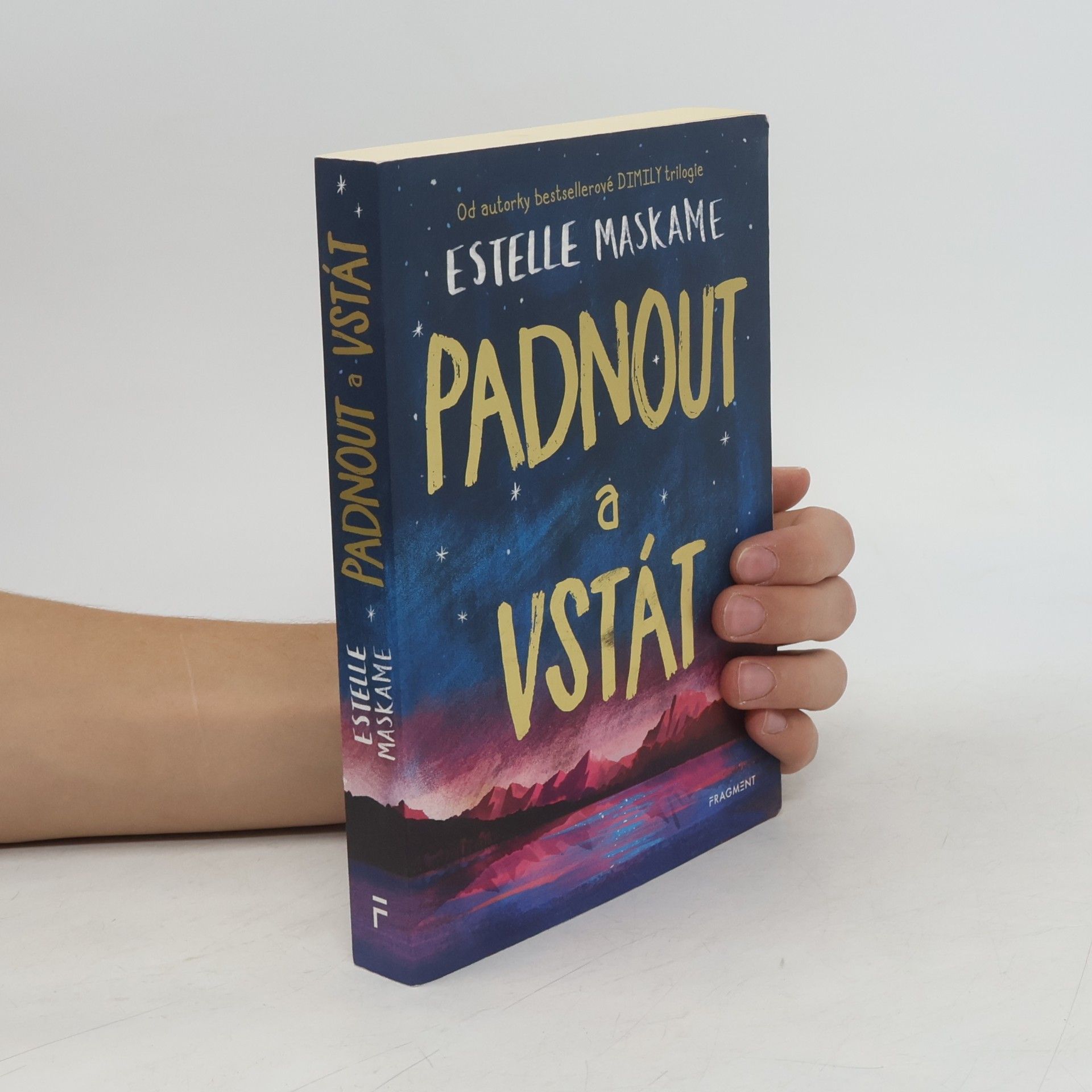 Estelle Maskame Padnout a vstát