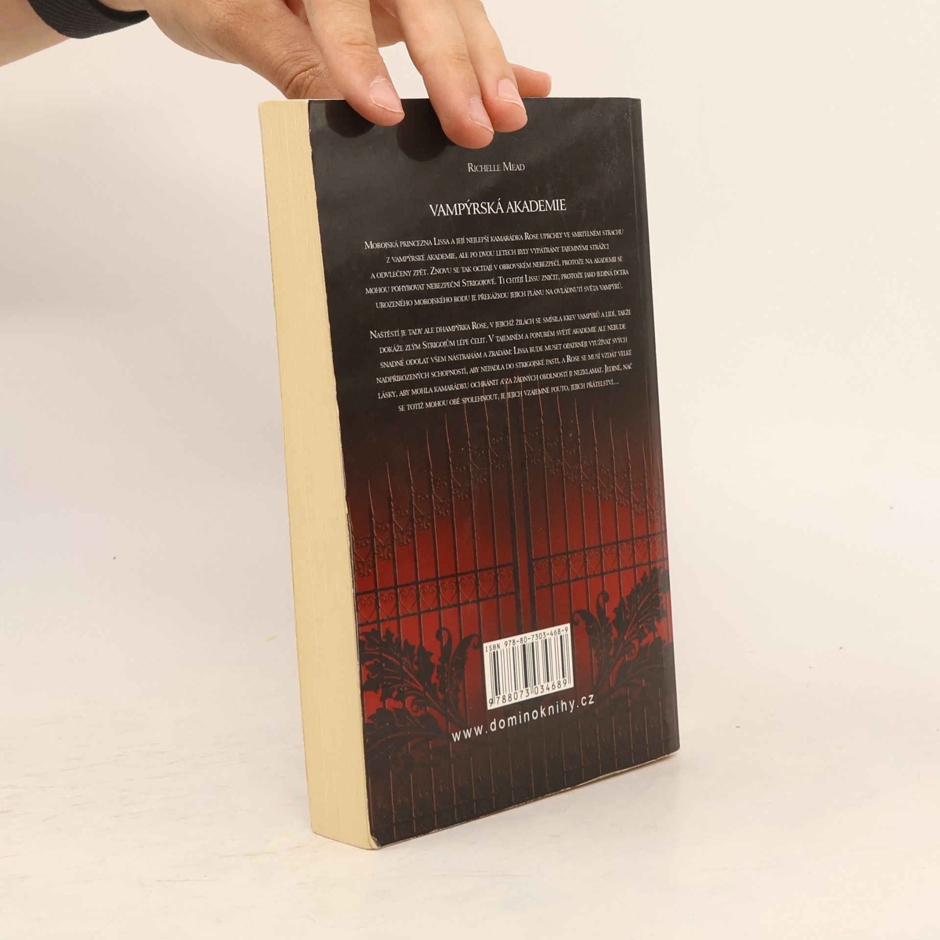 Richelle Mead Vampýrská akademie