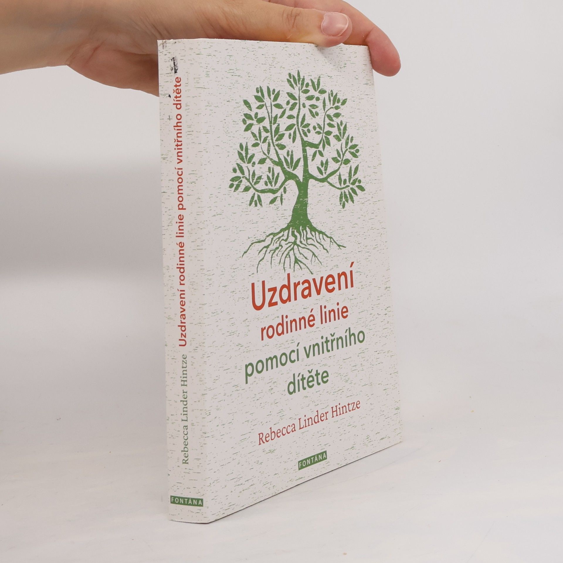 Uzdravení rodinné linie pomocí vnitřního dítěte : 5 kroků k překonání destruktivních rodinných vzorců