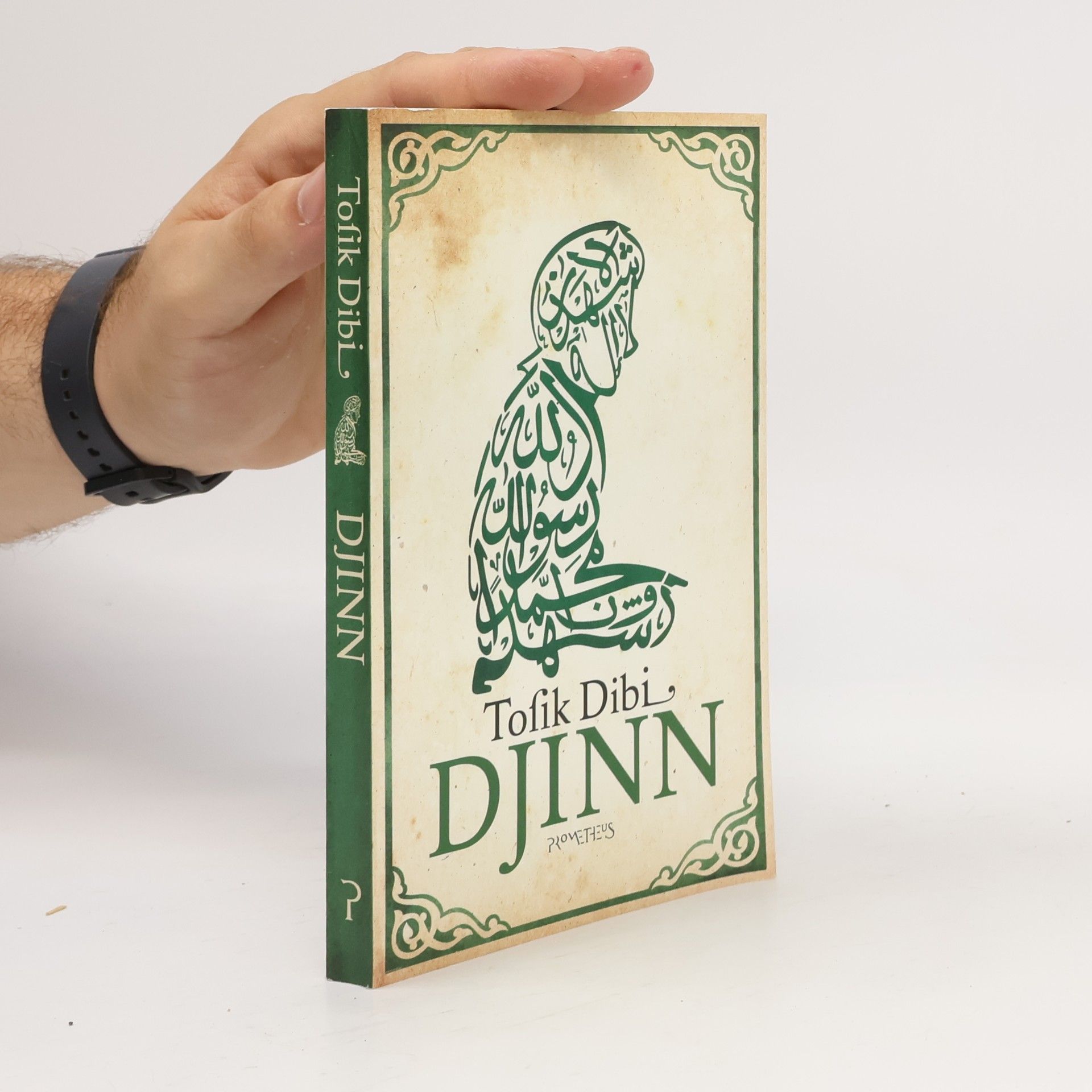 Tofik Dibi Djinn