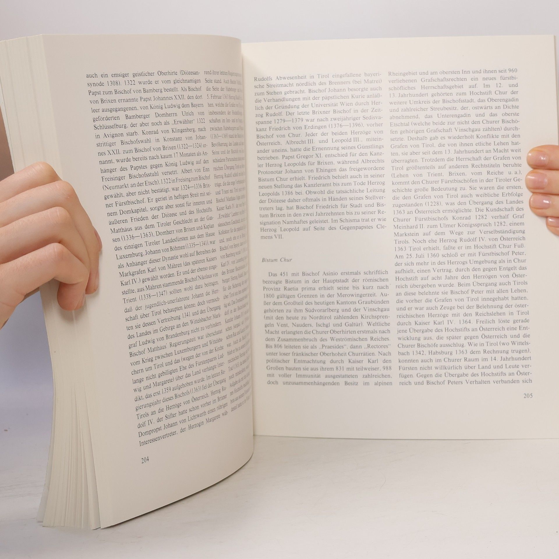 Various authors Die Zeit der frühen Habsburger, Dome und Klöster 1279-1379