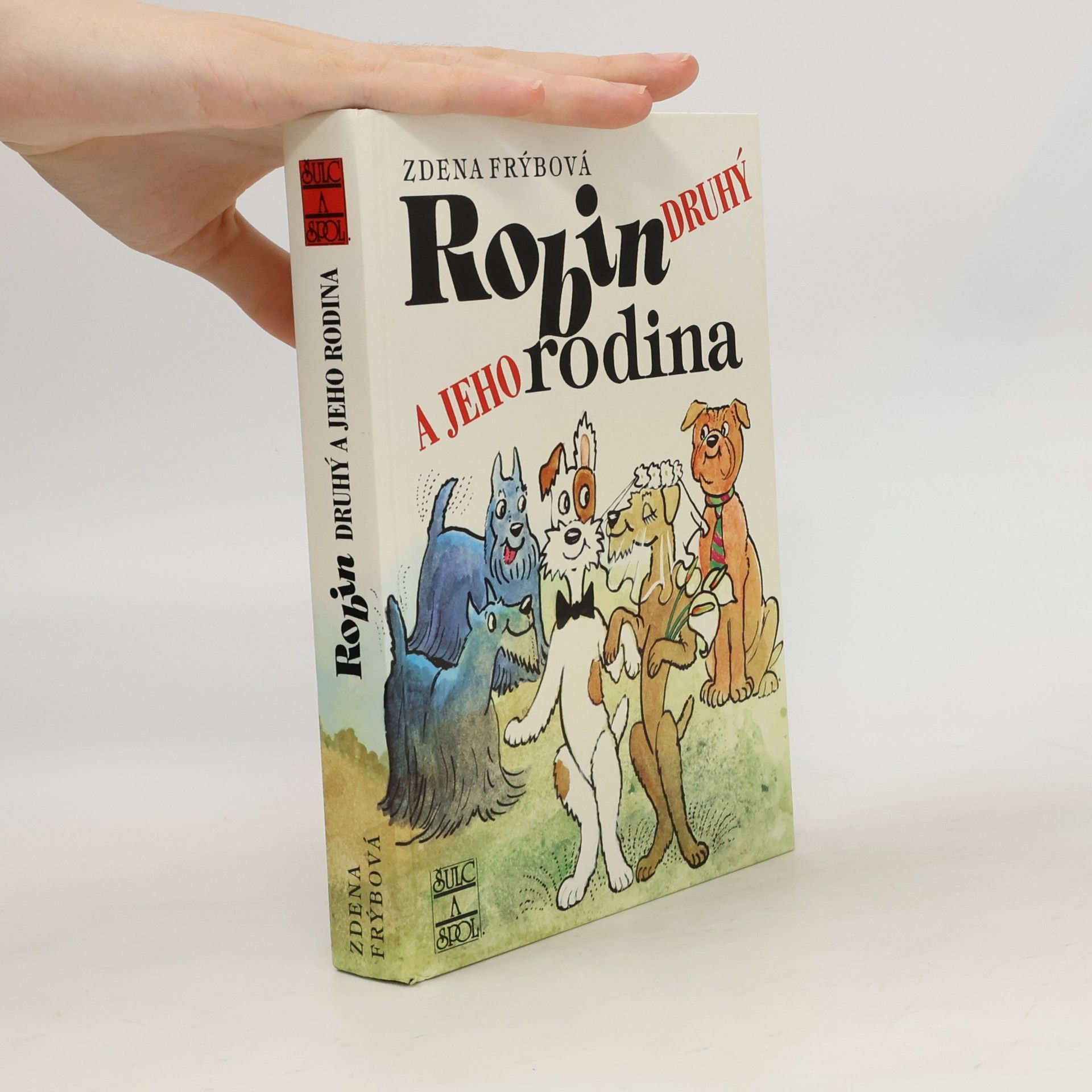 Zdena Frýbová Robin Druhý a jeho rodina