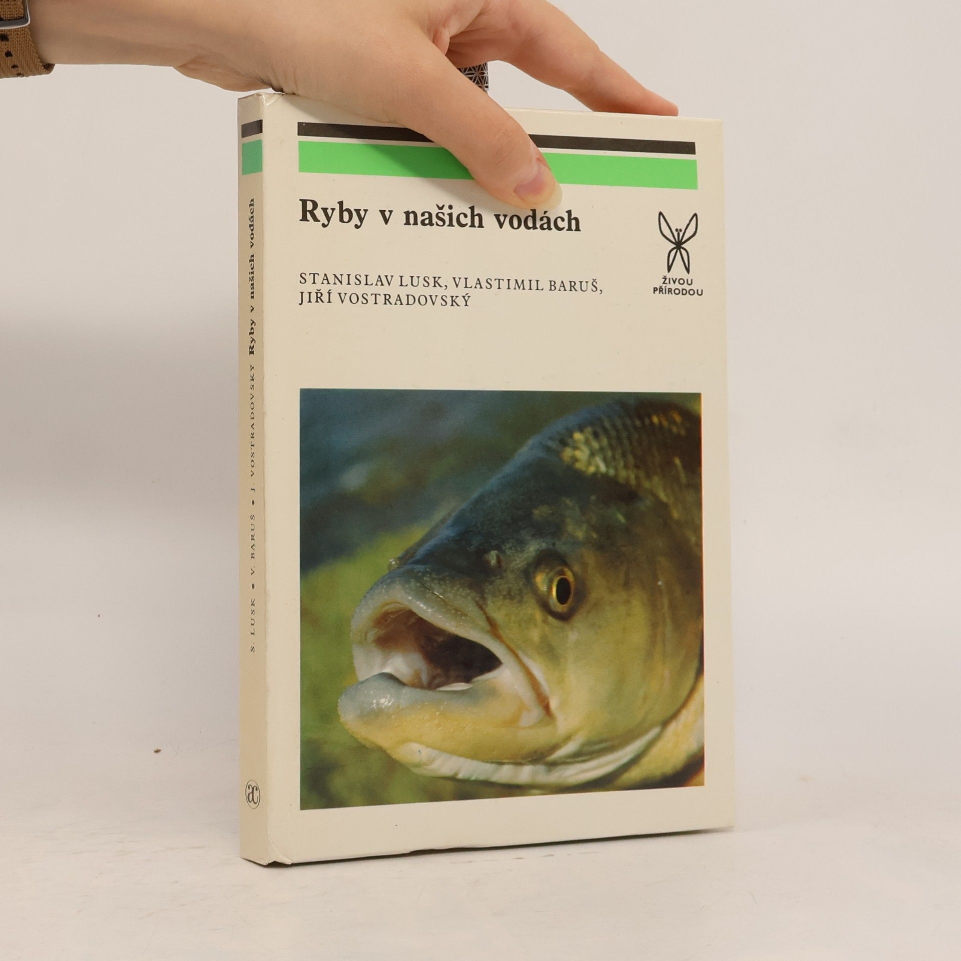 Autorenkollektiv Ryby v našich vodách