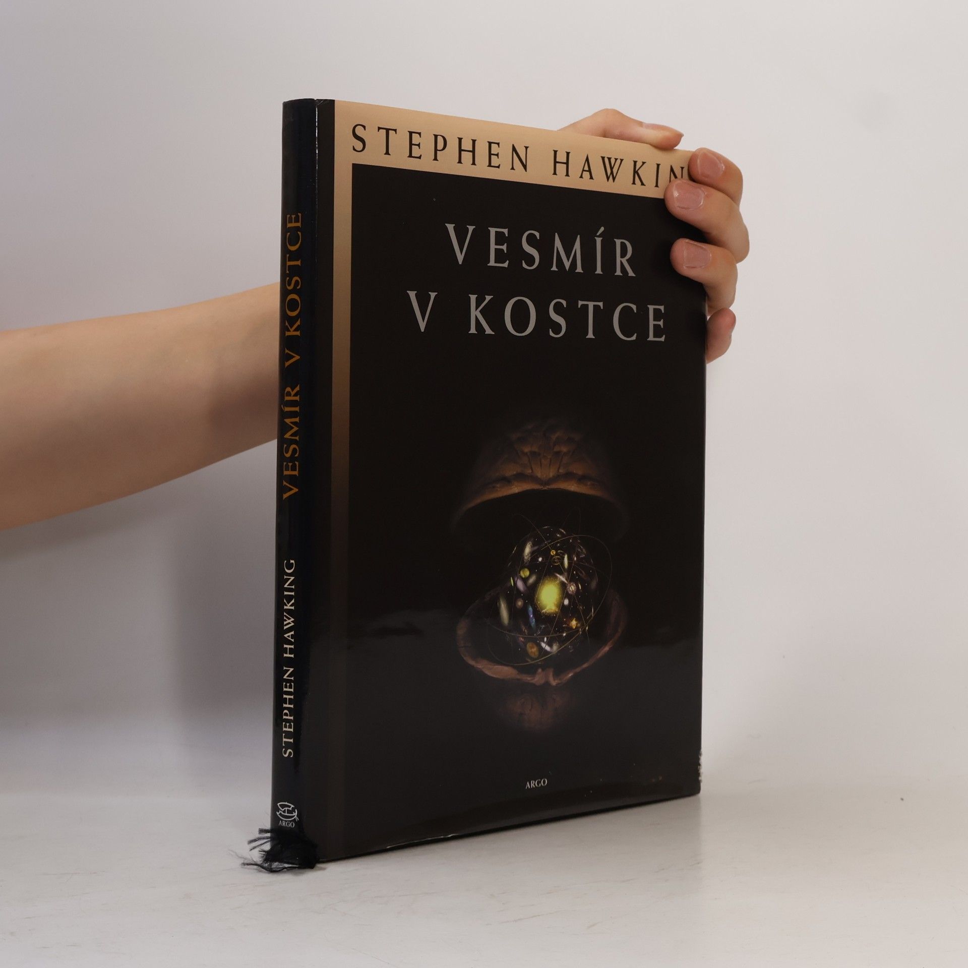 Stephen Hawking Vesmír v kostce
