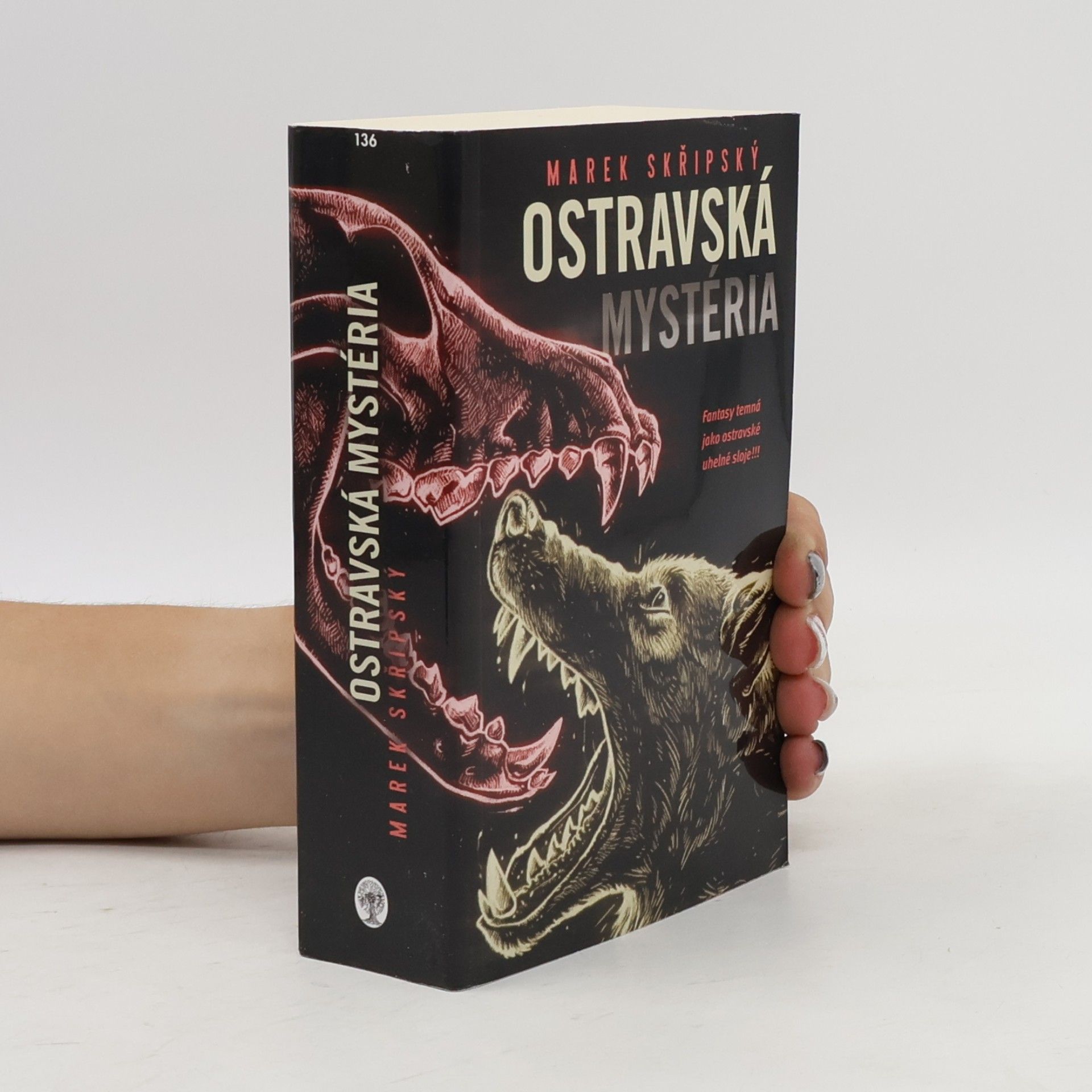 Marek Skřipský Ostravská mystéria