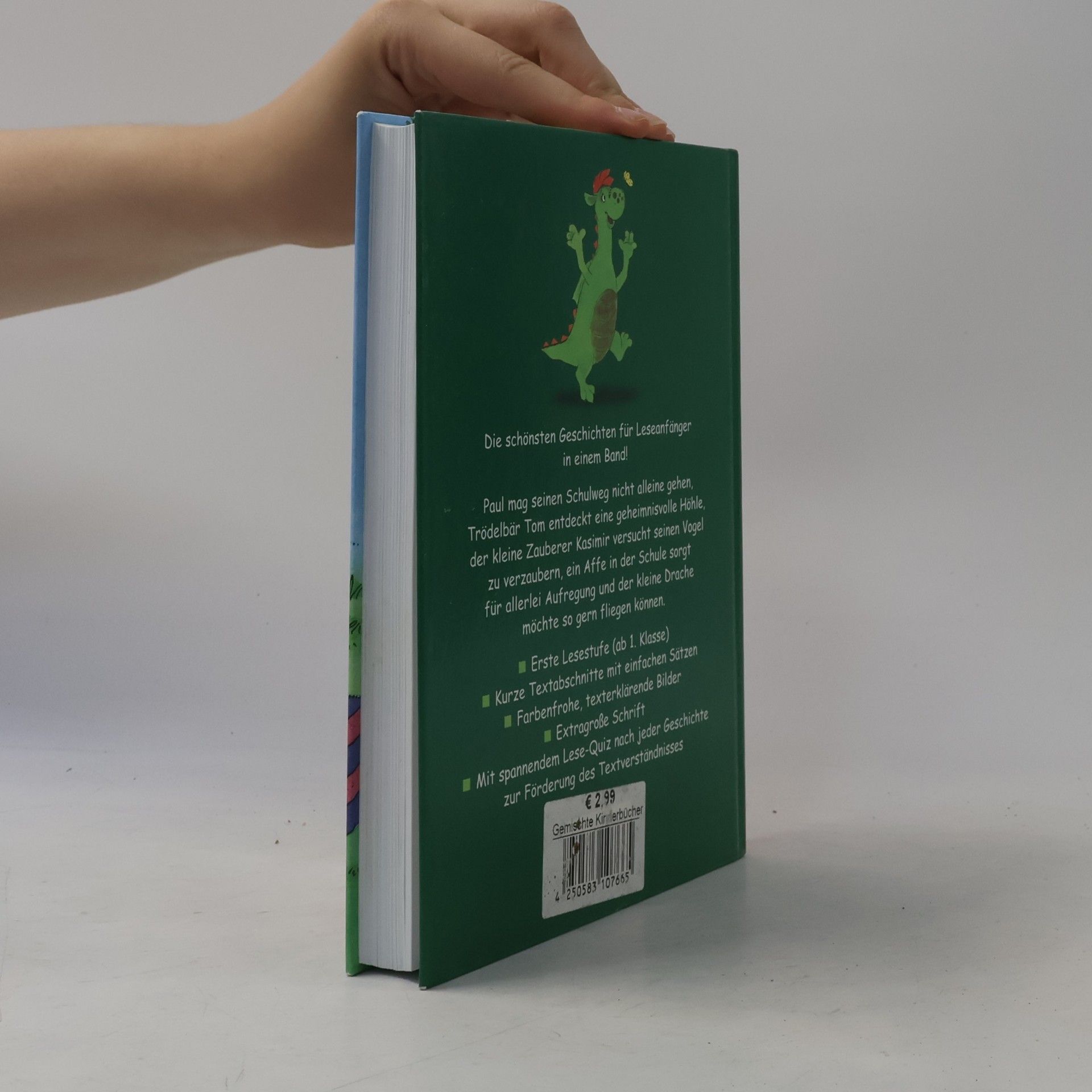 Das dicke Geschichtenbuch für Erstleser