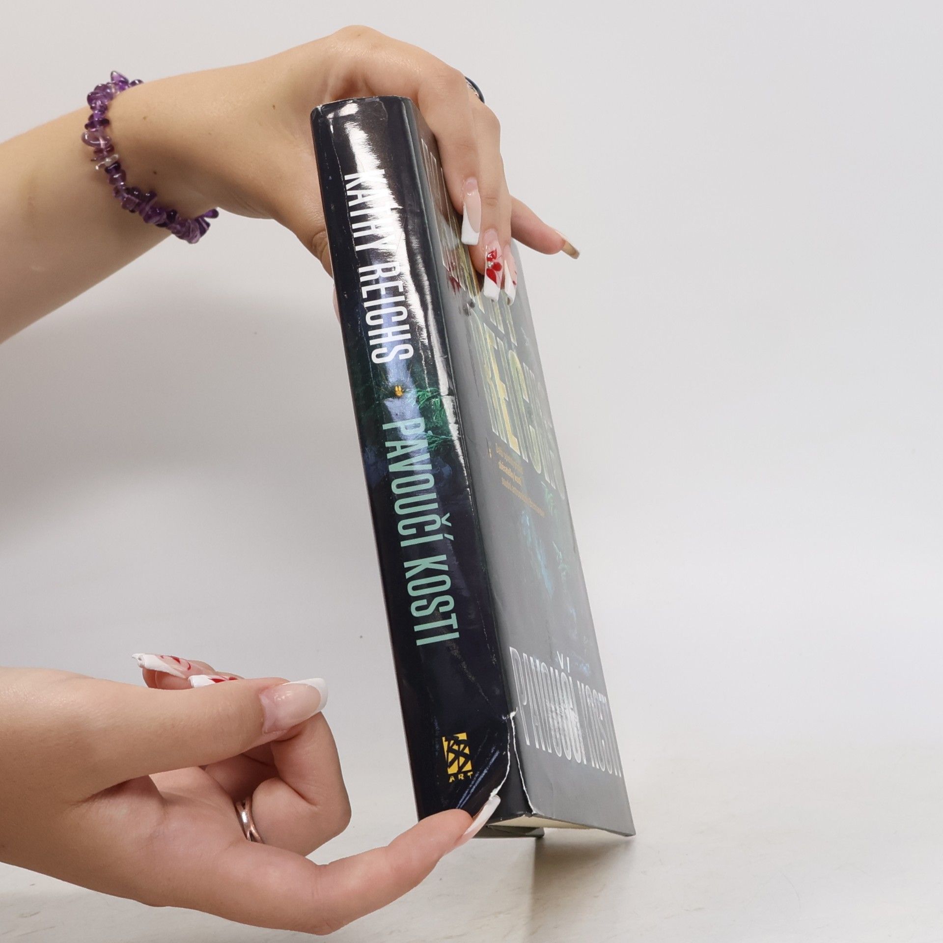 Kathy Reichs Pavoučí kosti