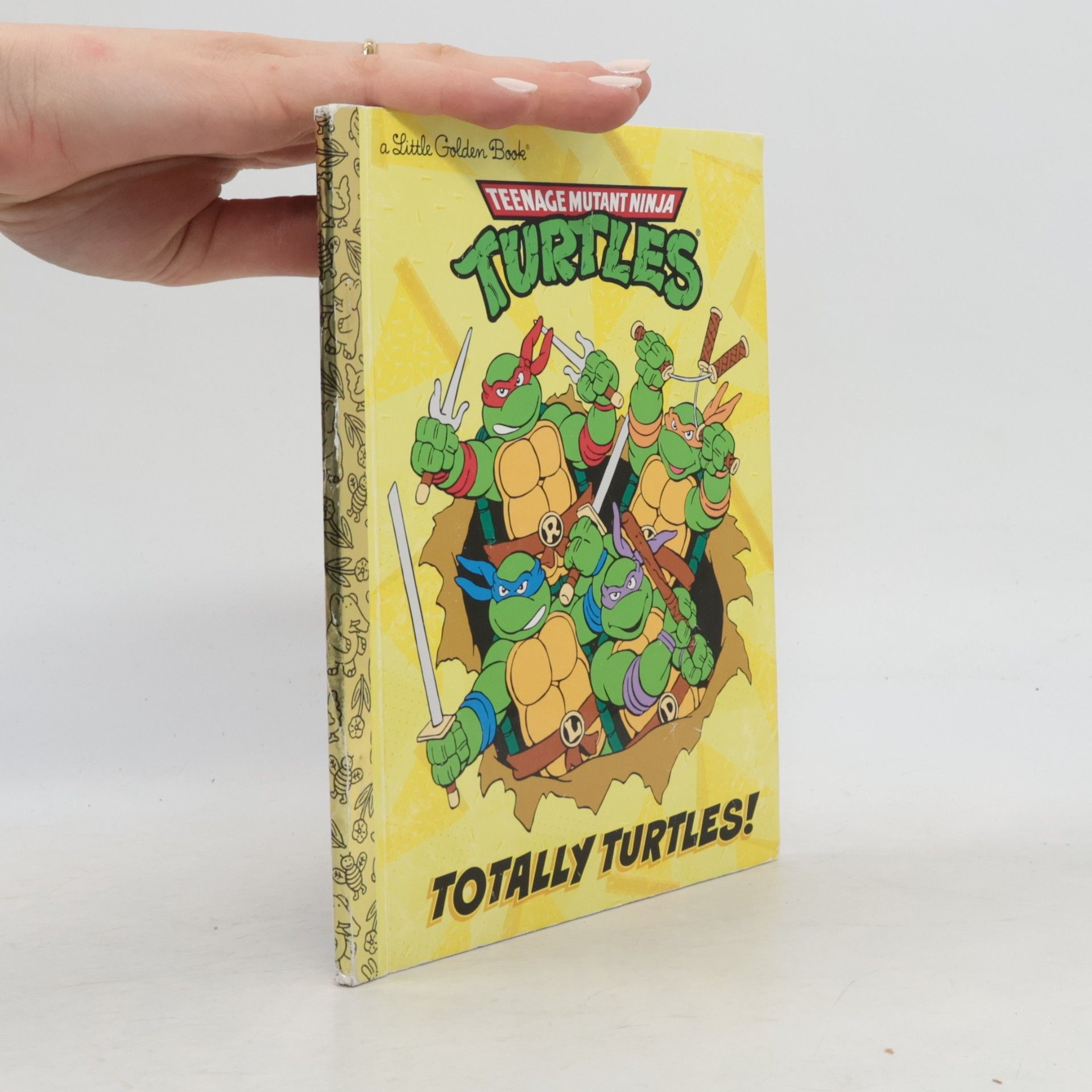 Lawrence Christmas Teenage Mutant Ninja Turtles: Totally Turtles!