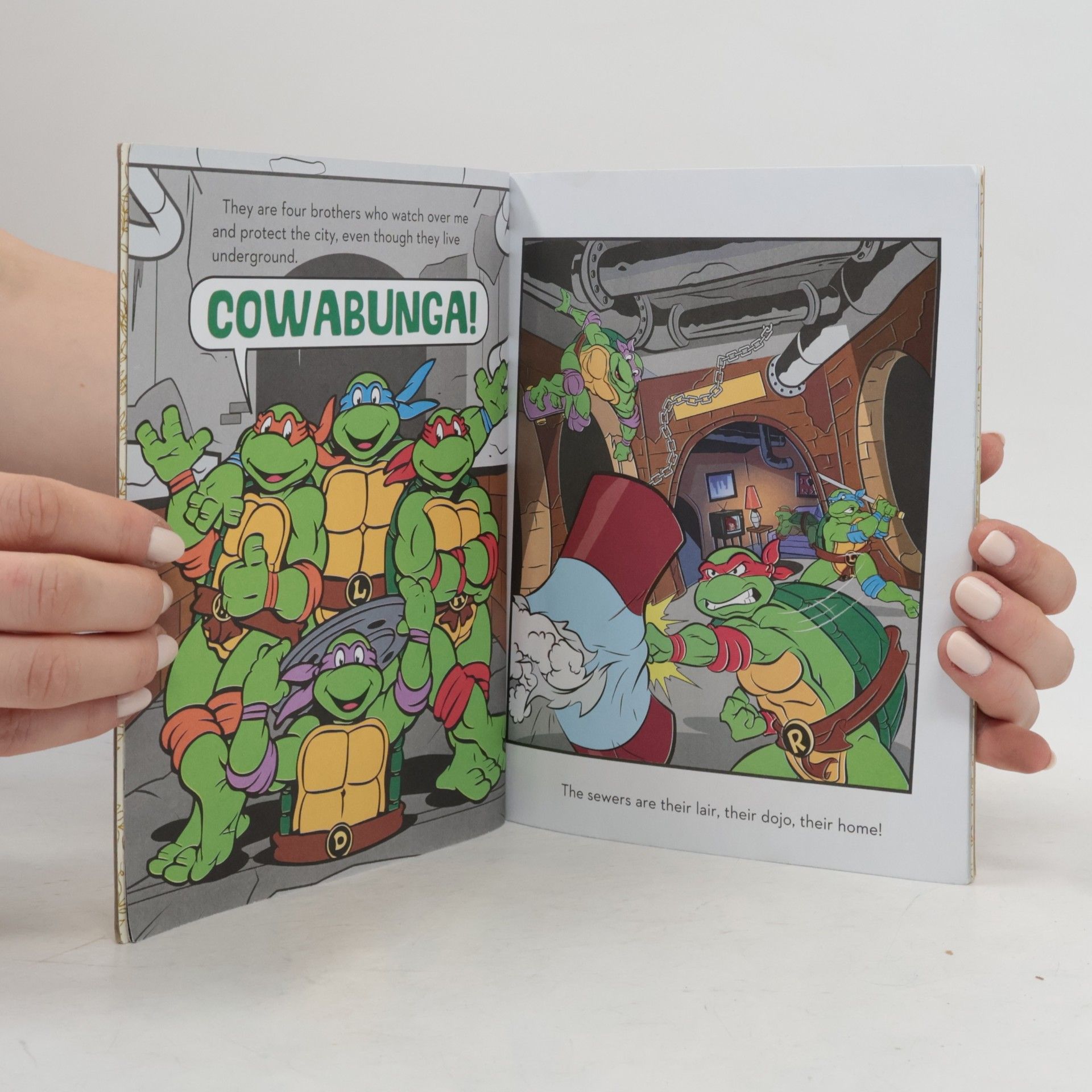 Matthew J. Gilbert Teenage Mutant Ninja Turtles: Totally Turtles!