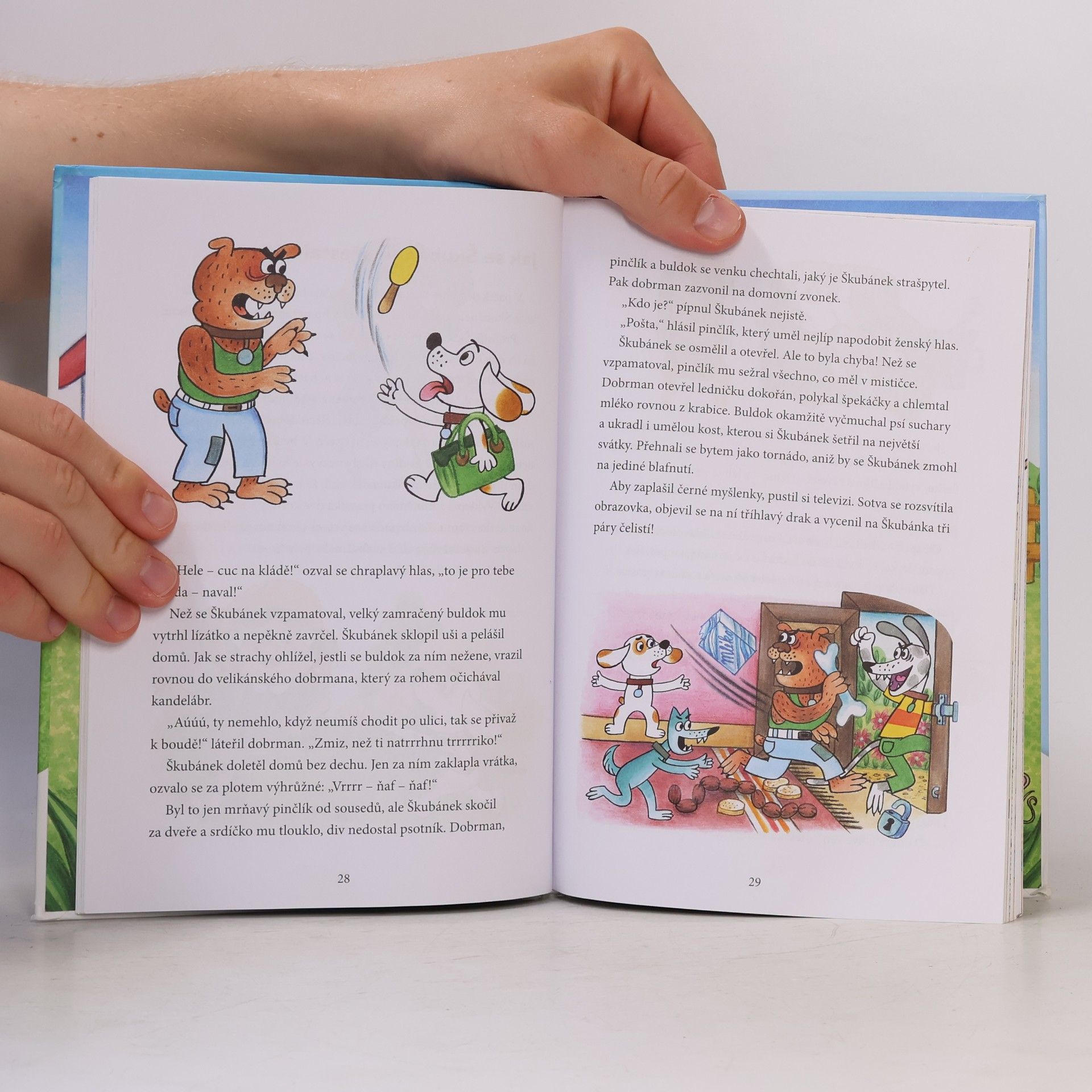 Hana Lamková Káťa a Škubánek