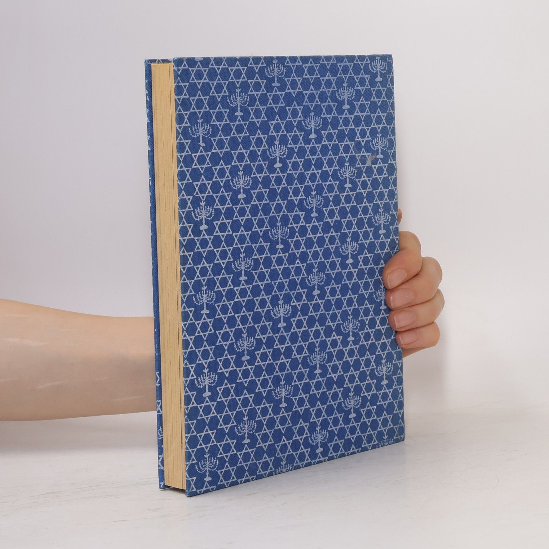 Zvi Sofer Das jüdische Kochbuch