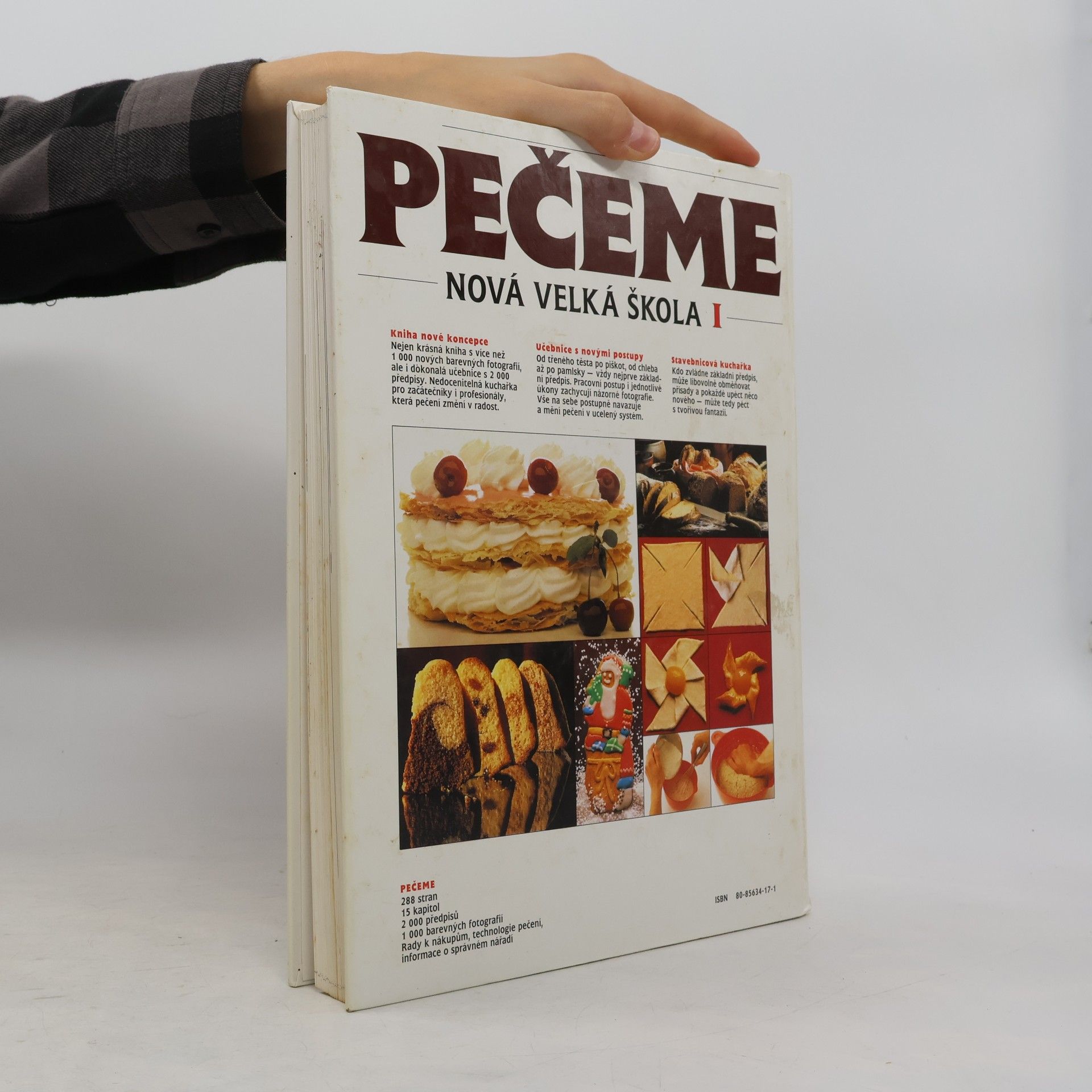 Arnold Zabert Nová velká škola. 1, Pečeme.