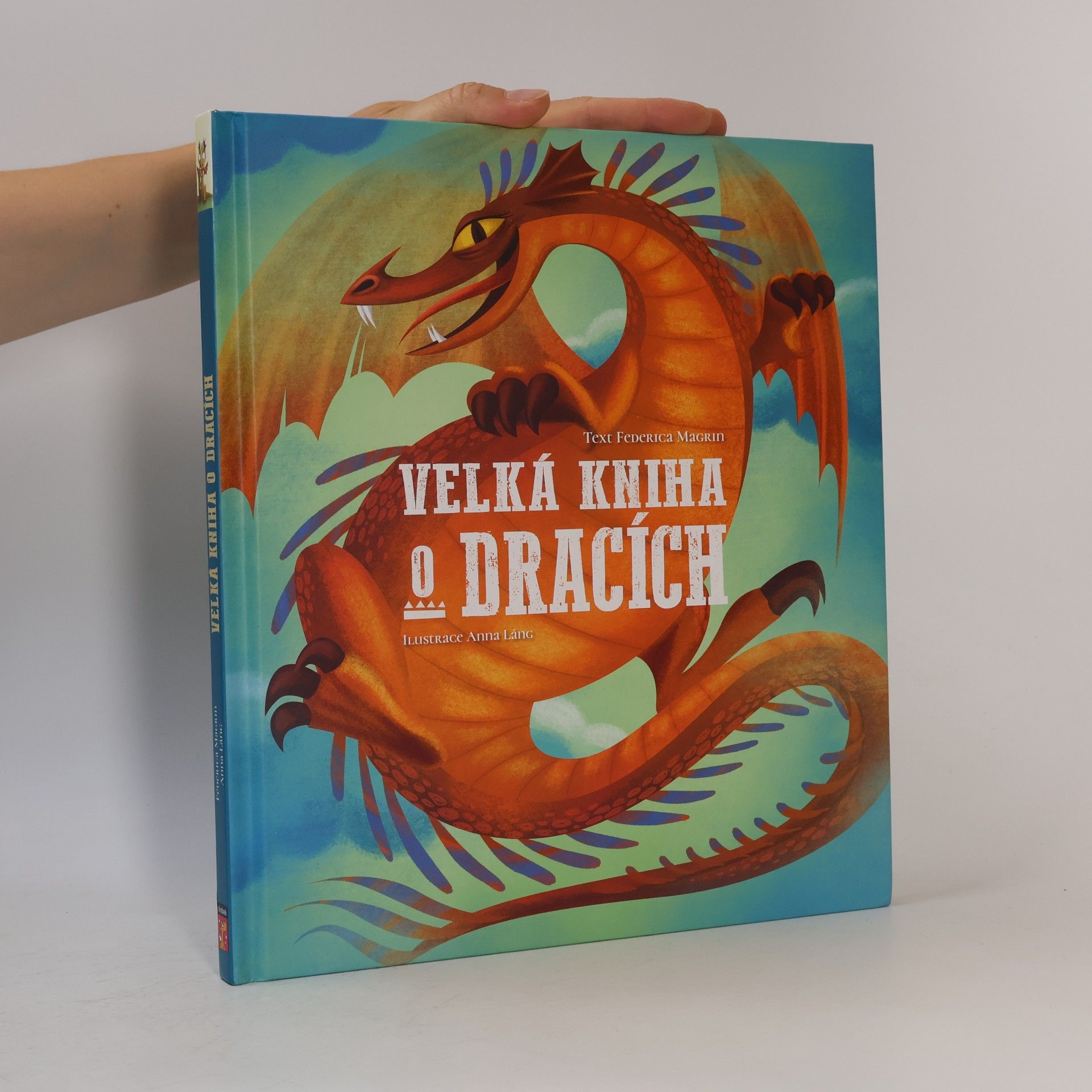 Federica Magrin Velká kniha o dracích