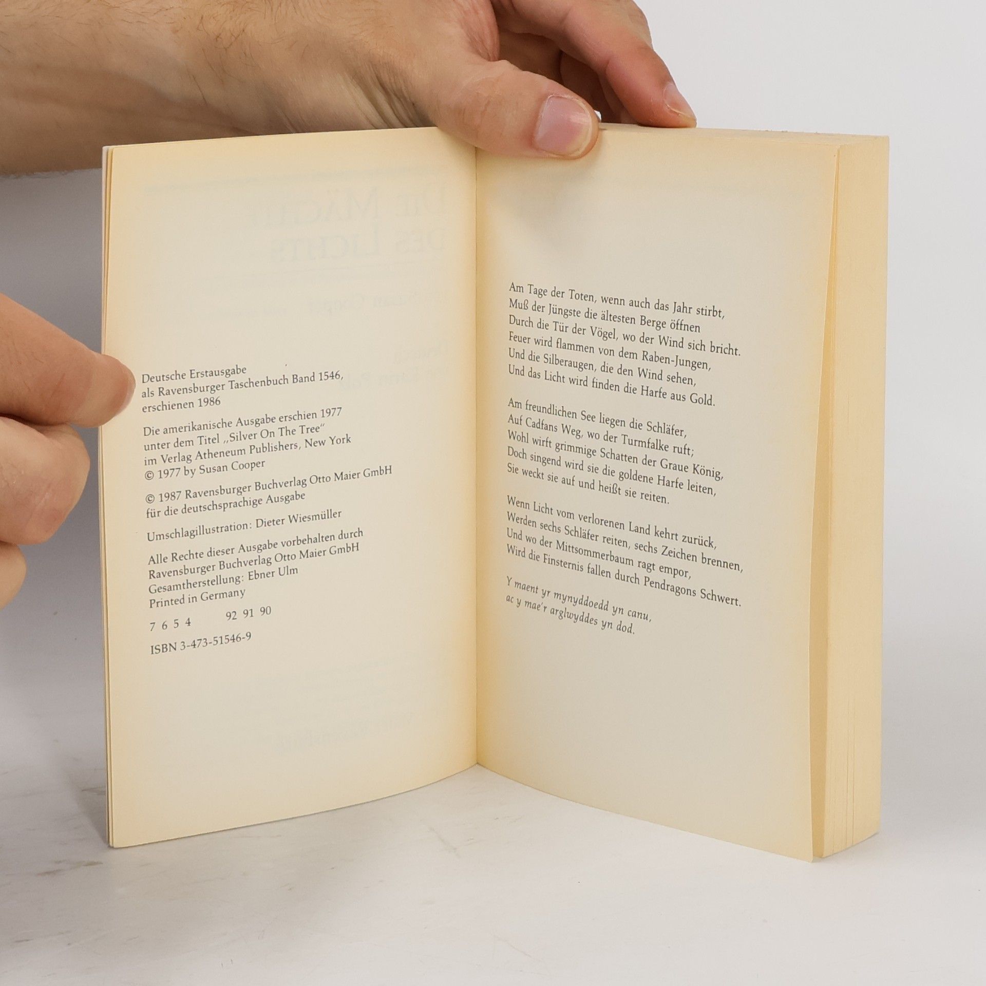 Susan Cooper Die Mächte des Lichts
