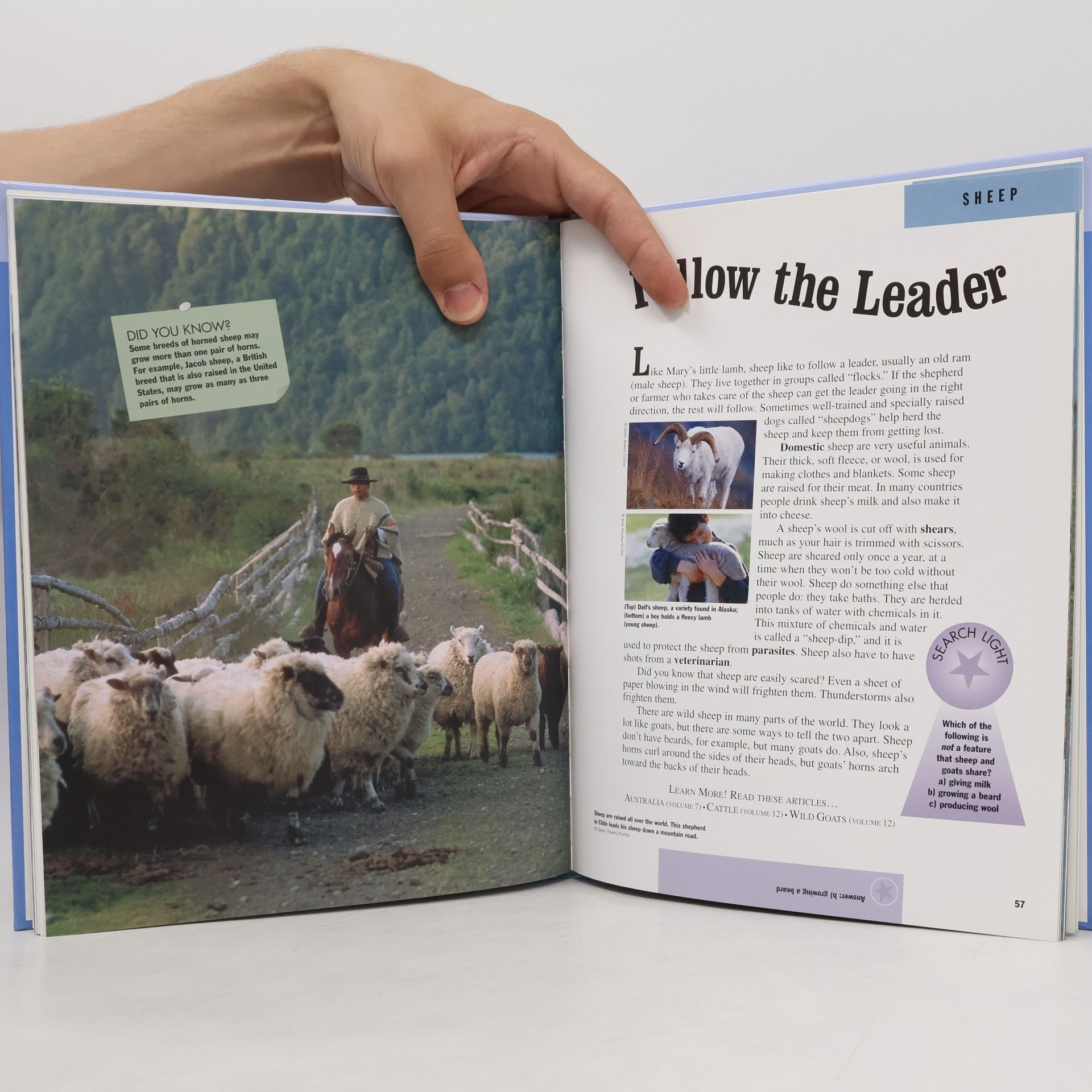 AA.VV. My First Britannica Mammals 12