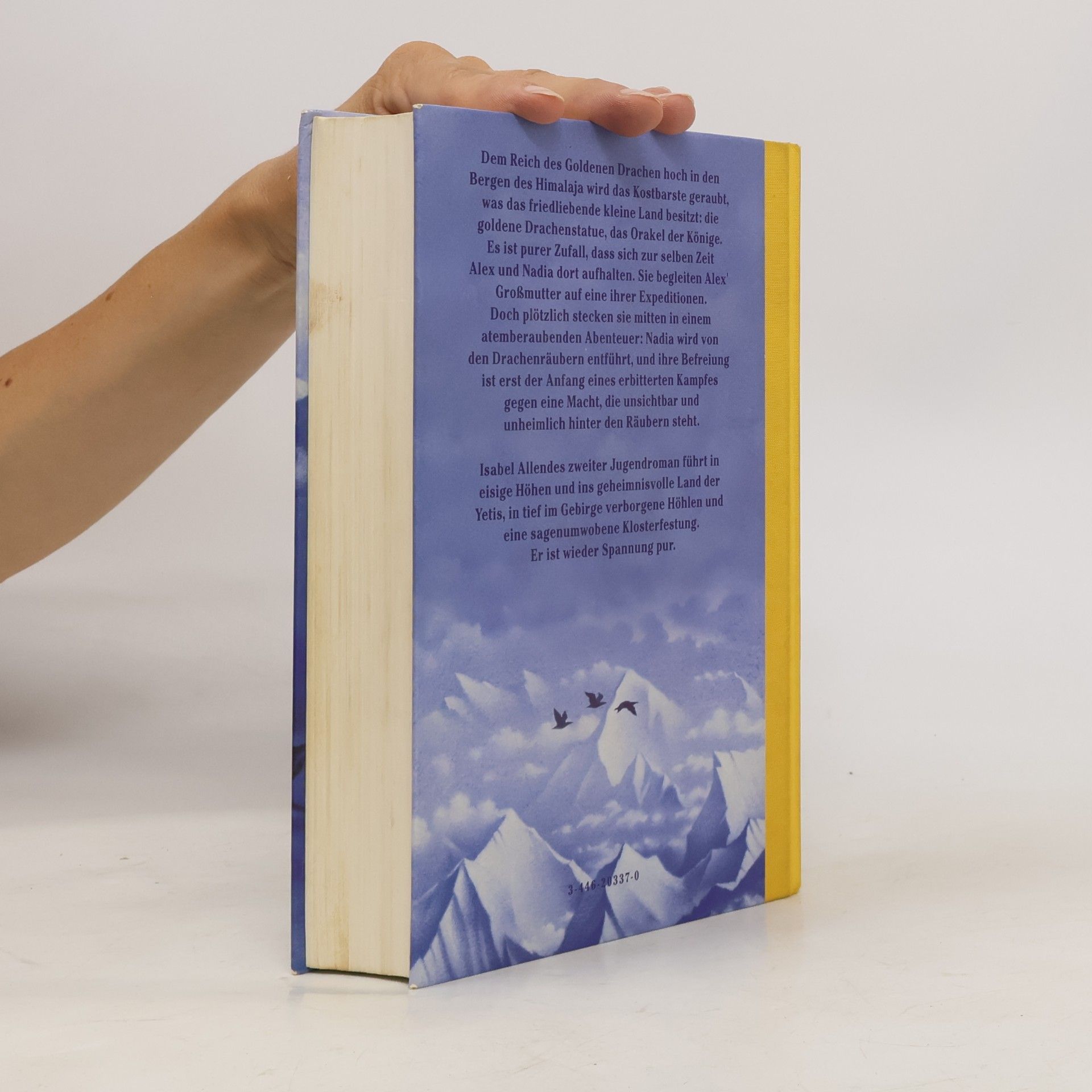 Isabel Allende Im Reich des goldenen Drachen