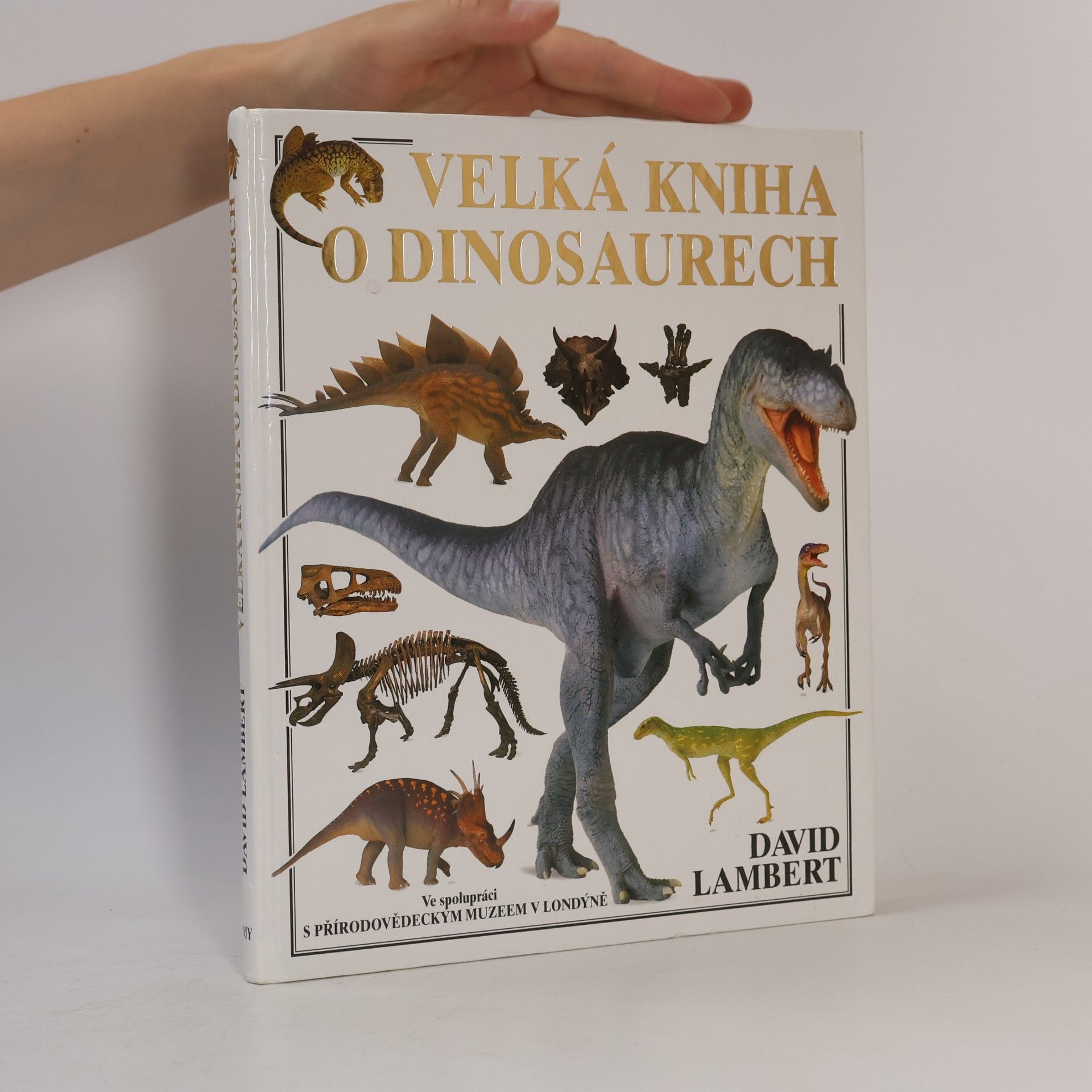 David Lambert Velká kniha o dinosaurech