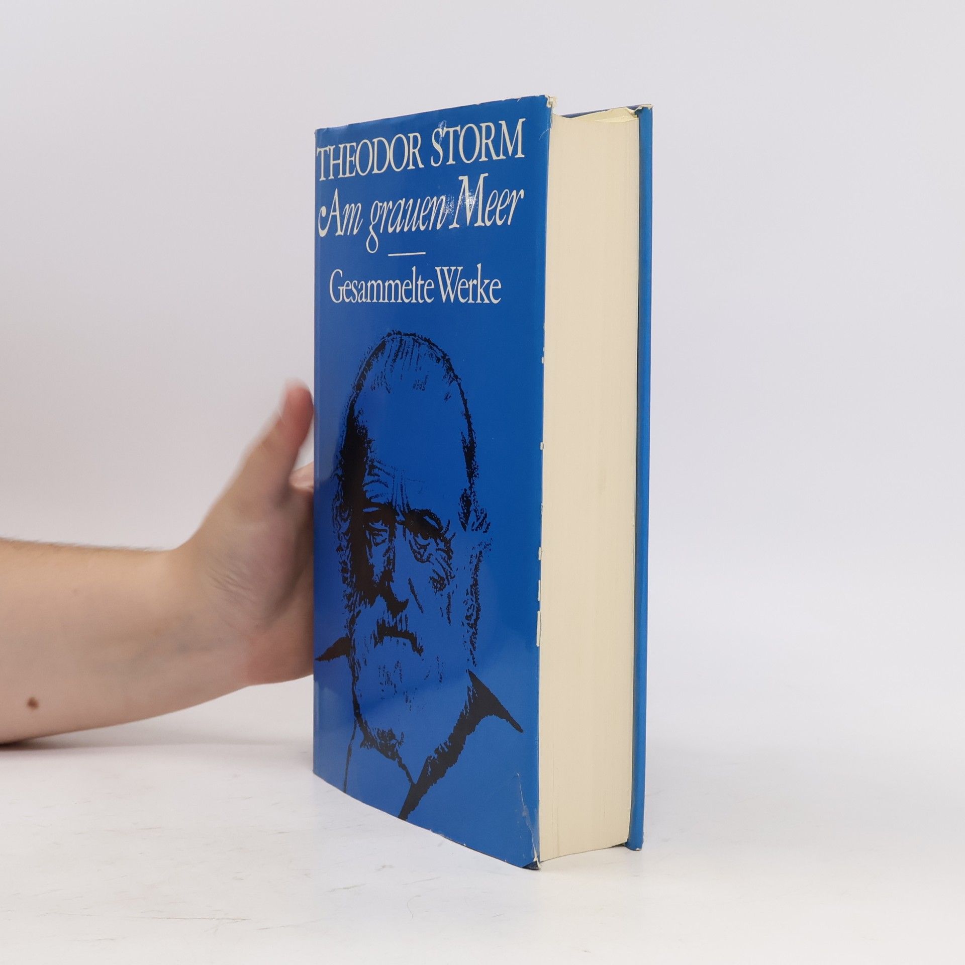 Theodor Storm Am Grauen Meer