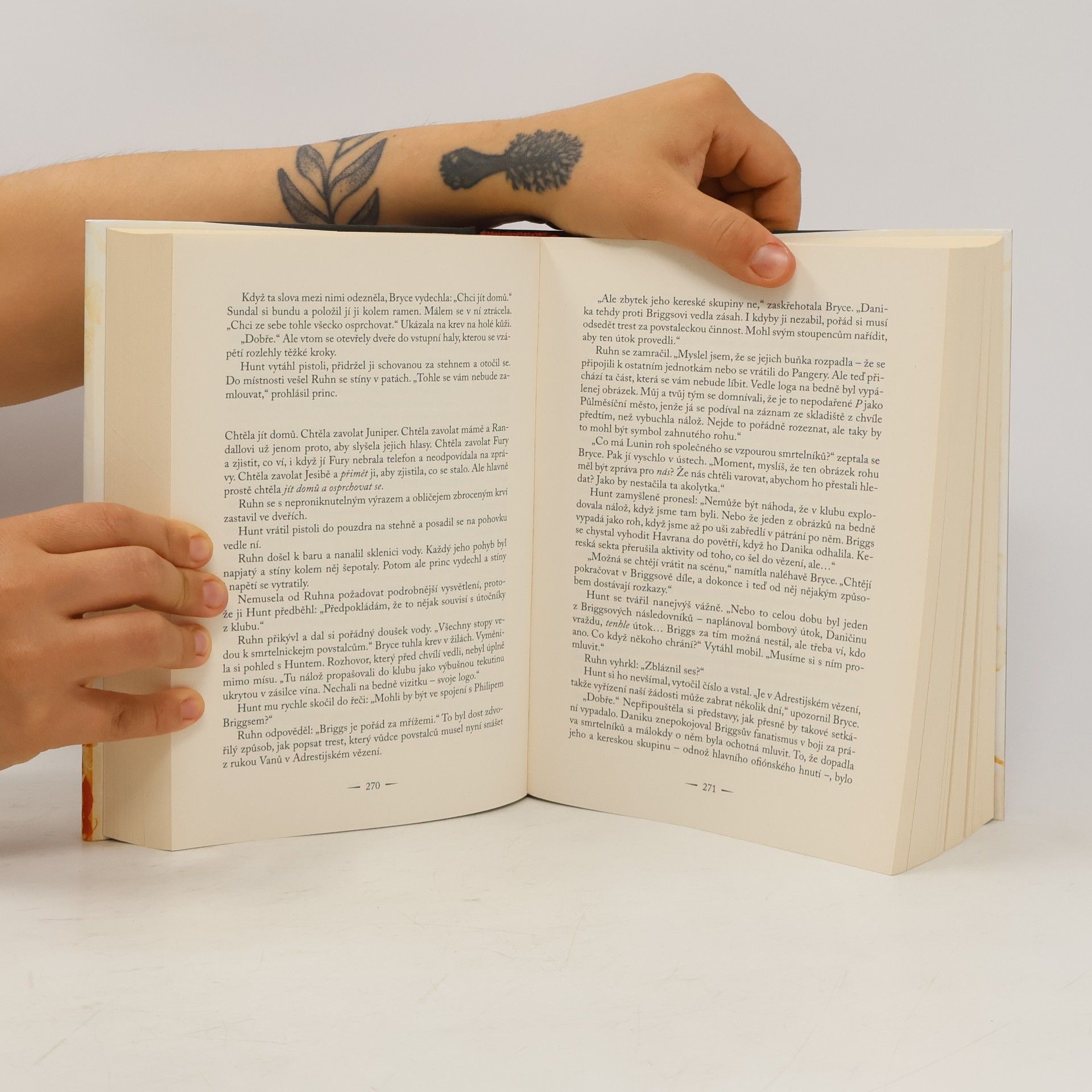 Sarah J. Maas Půlměsíční město. Rod země a krve