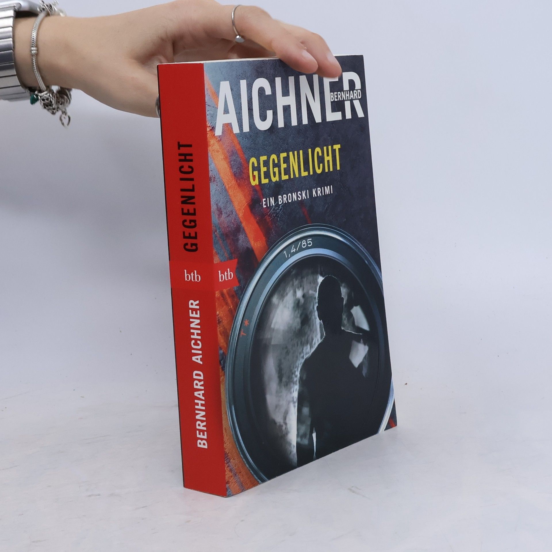 Bernhard Aichner Gegenlicht