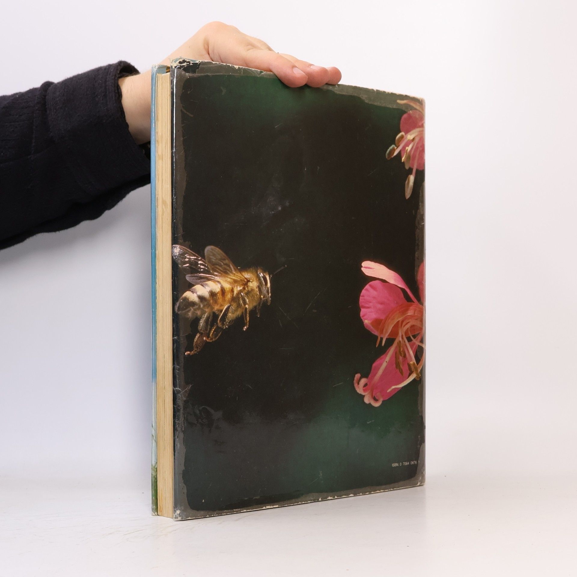 Gerald Durrell Children's Nature Encyclopedia