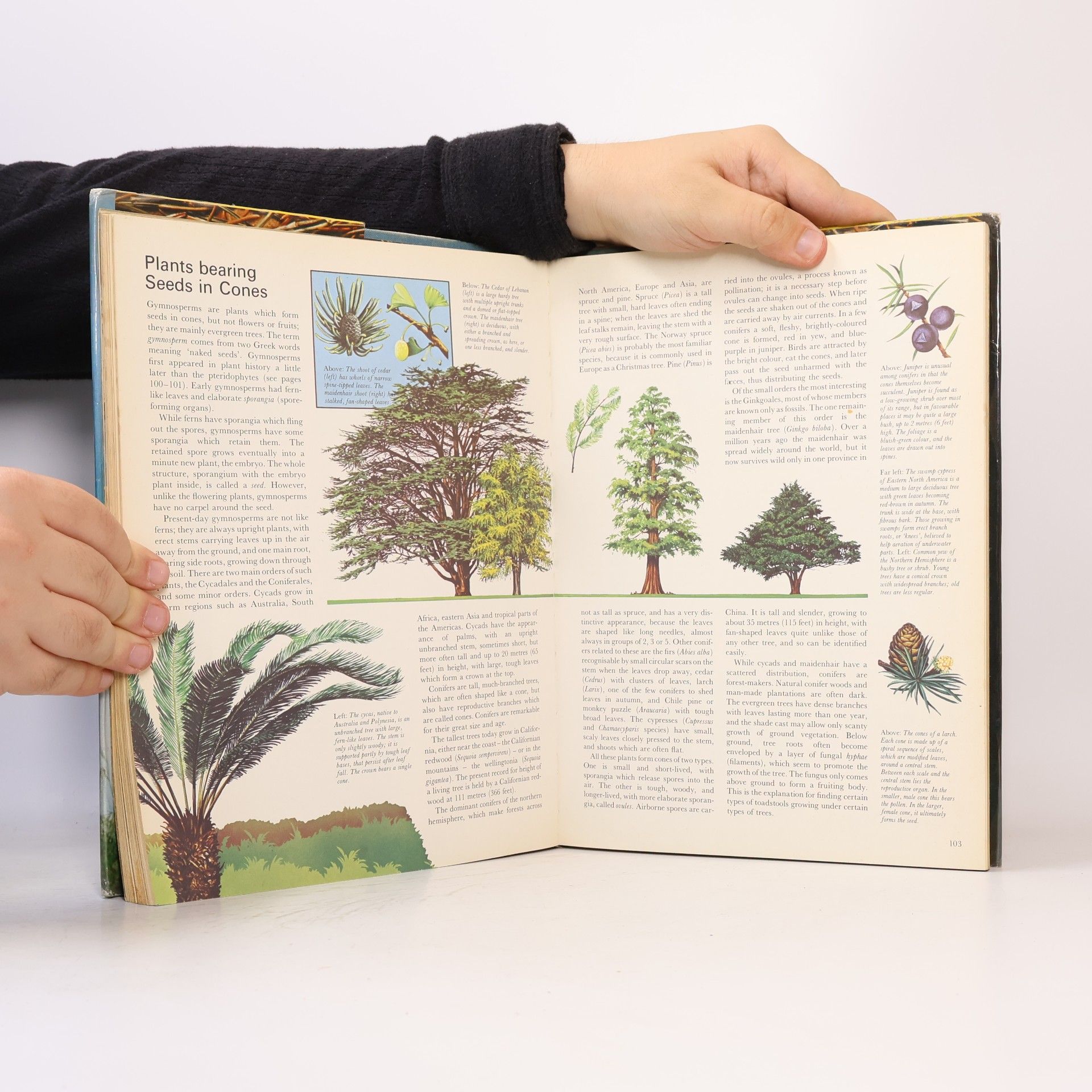 Gerald Durrell Children's Nature Encyclopedia