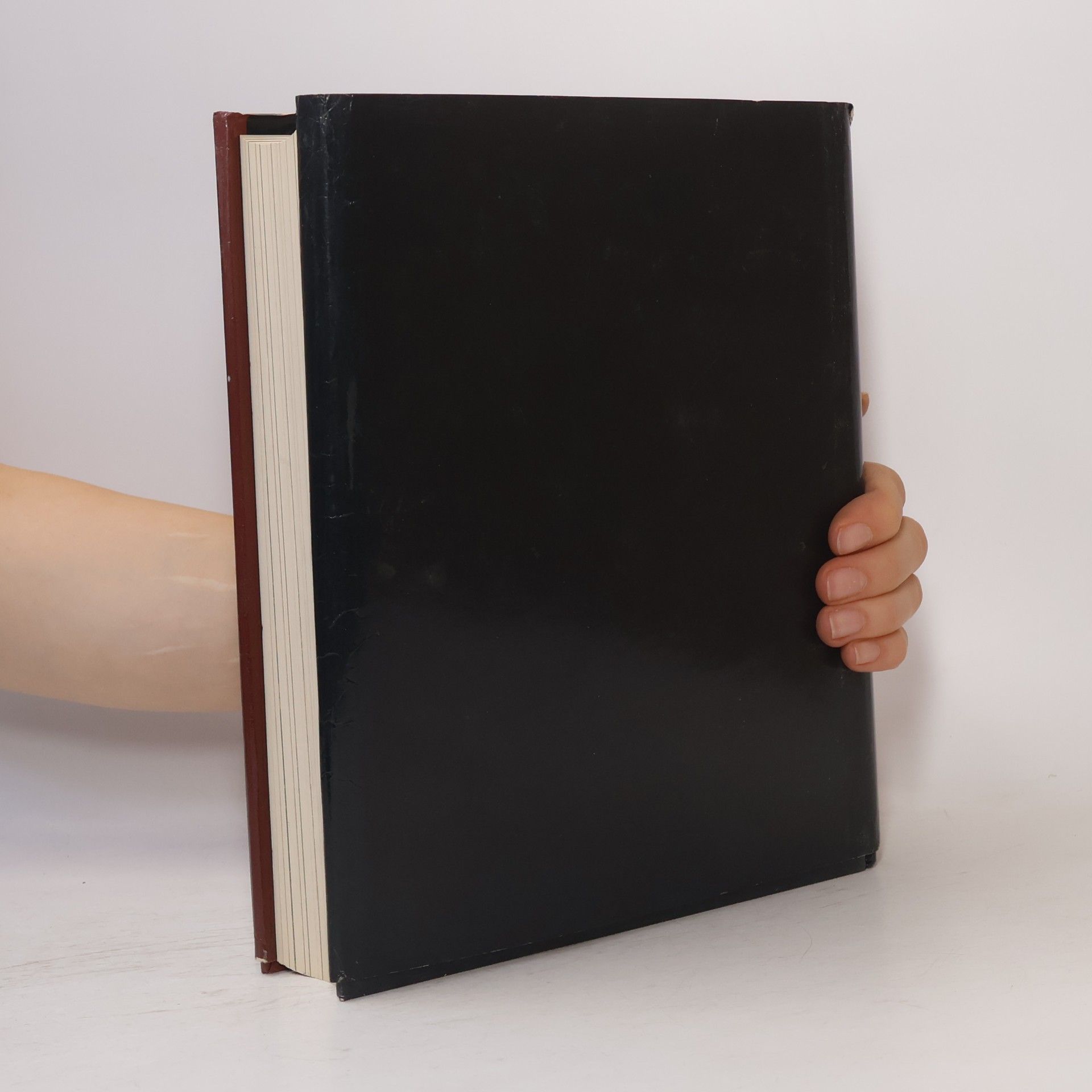 Franz Maier-Bruck Das Grosse Sacher Kochbuch : die österreichische Küche