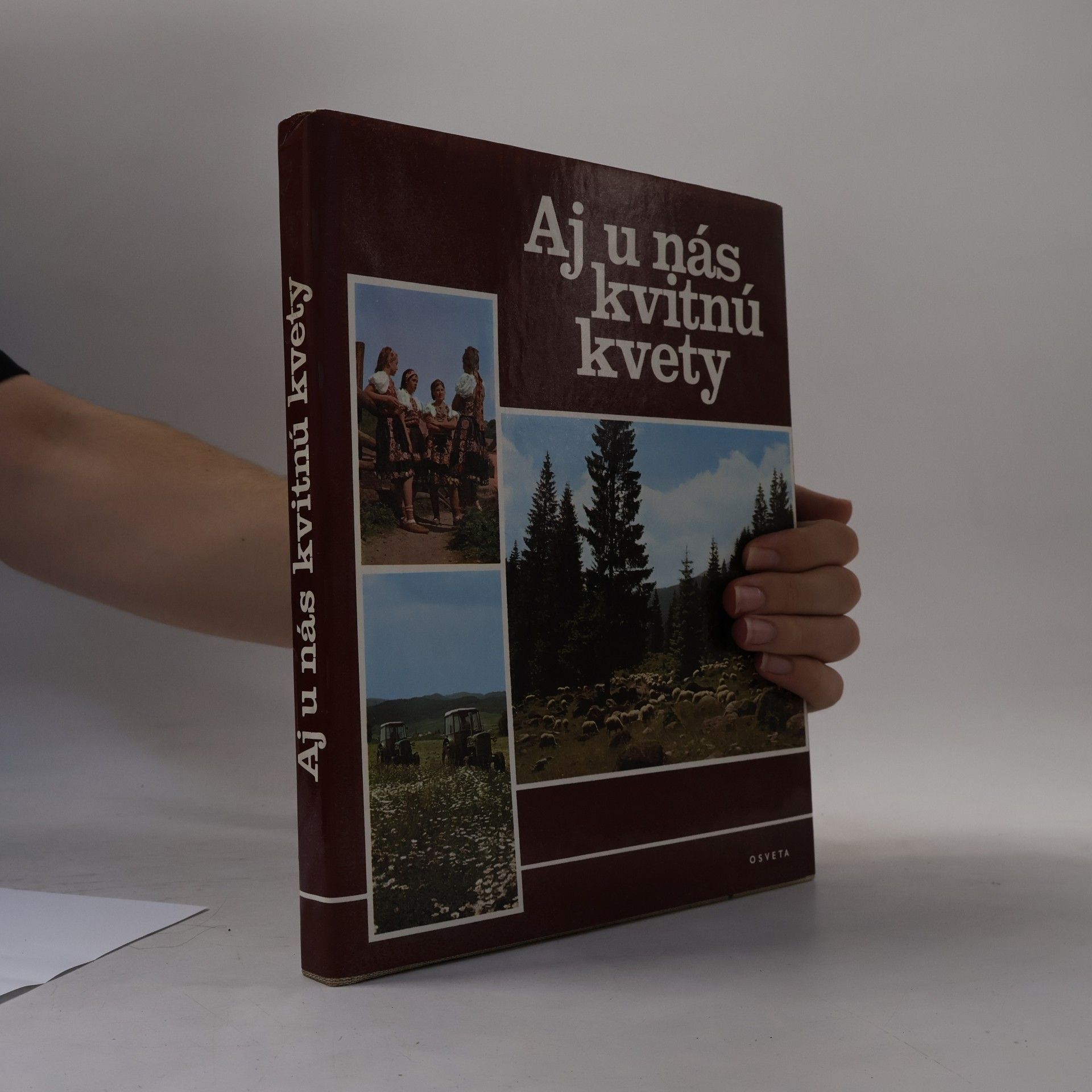 Various authors Aj u nás kvitnú kvety