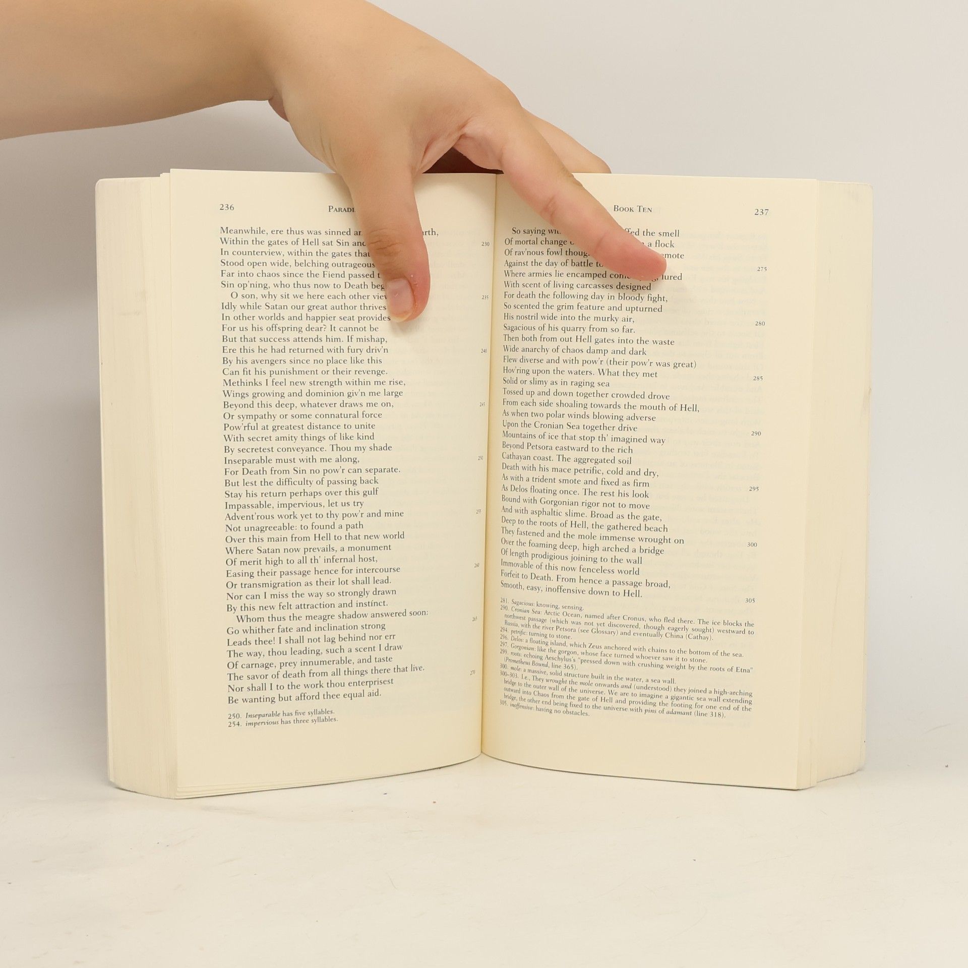 John Milton Norton Critical Editions: Paradise Lost. Das verlorene Paradies, englische Ausgabe